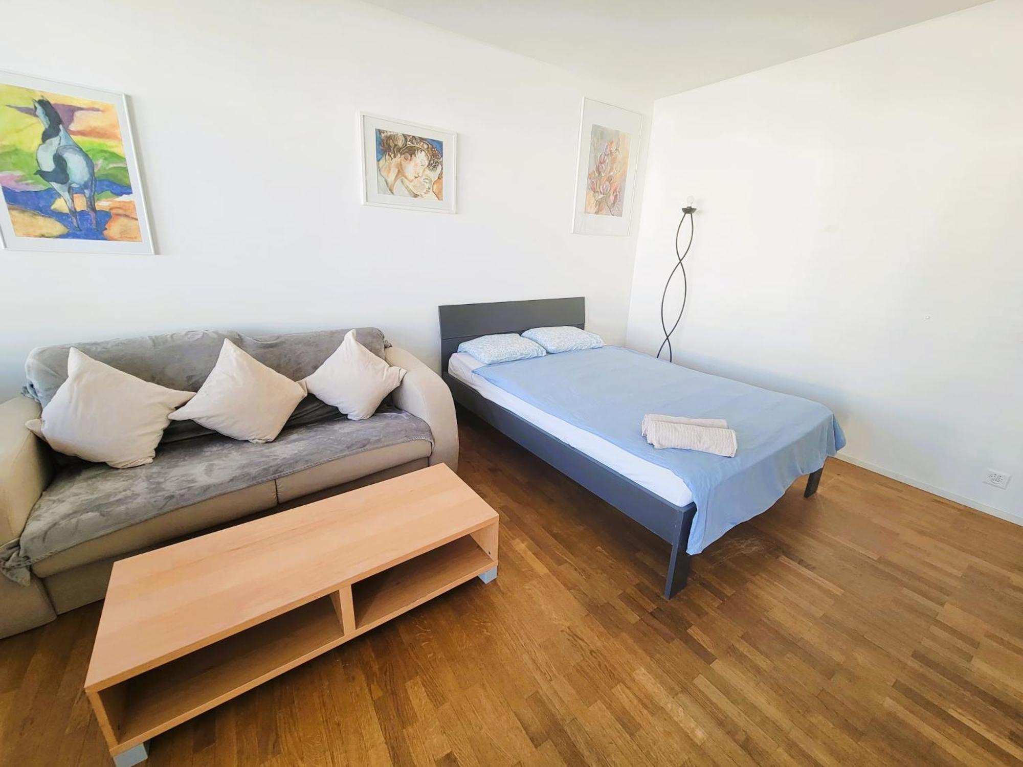 Apartment Modern With Balcony In Center A Hoh - Self Checkin Zurich