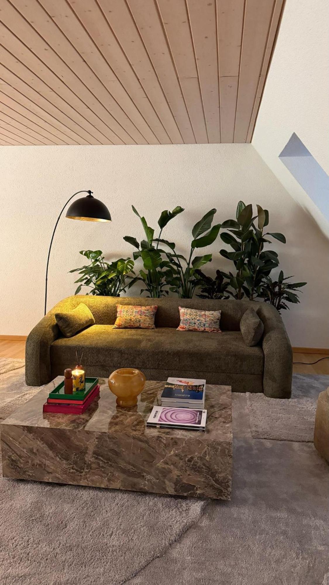 Apartment Maison Zueri Zurich