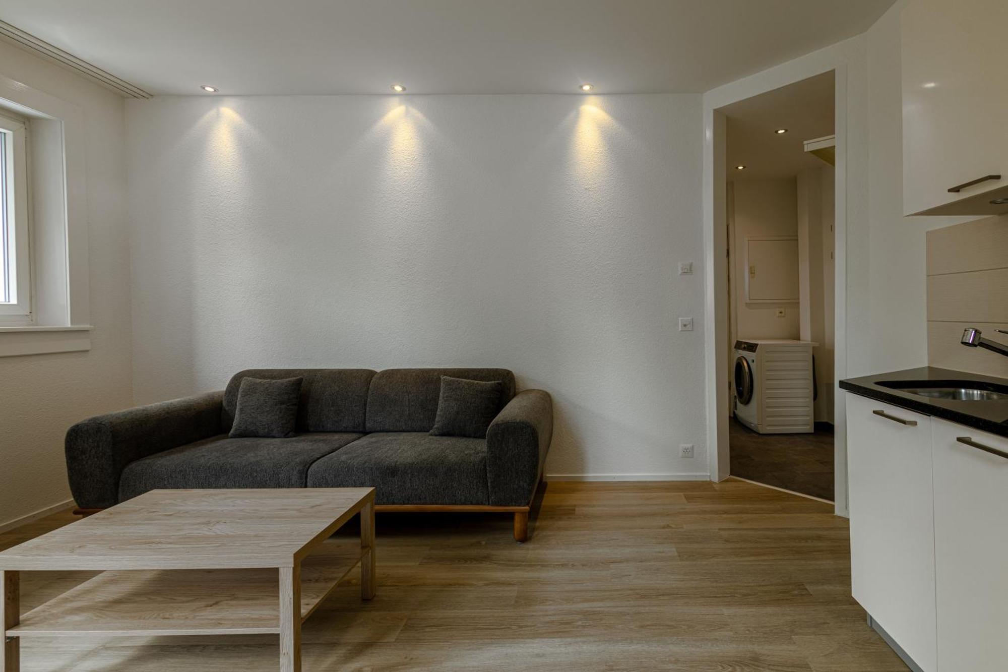 Luxury By Livingdowntown Apartment Zurich