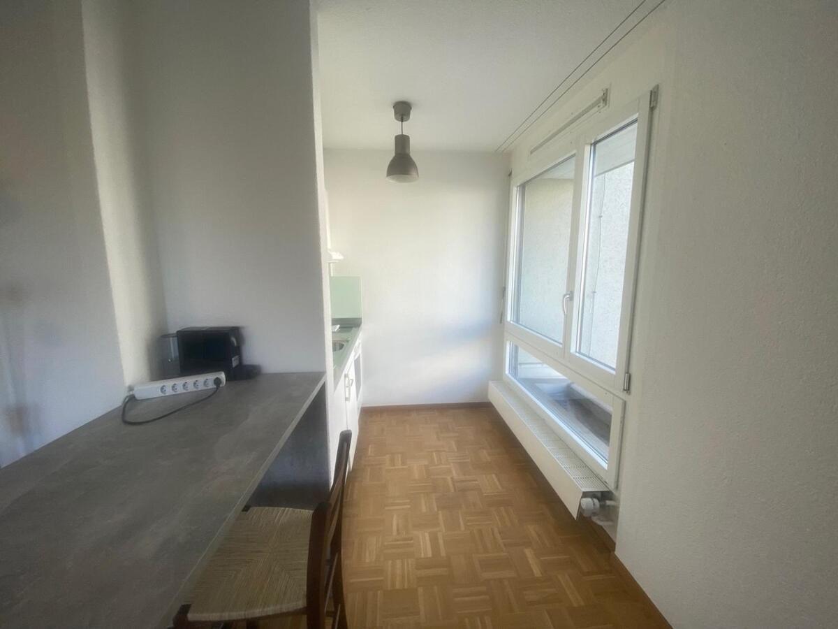 Apartment Perfectly Located - Art 5 Zurich