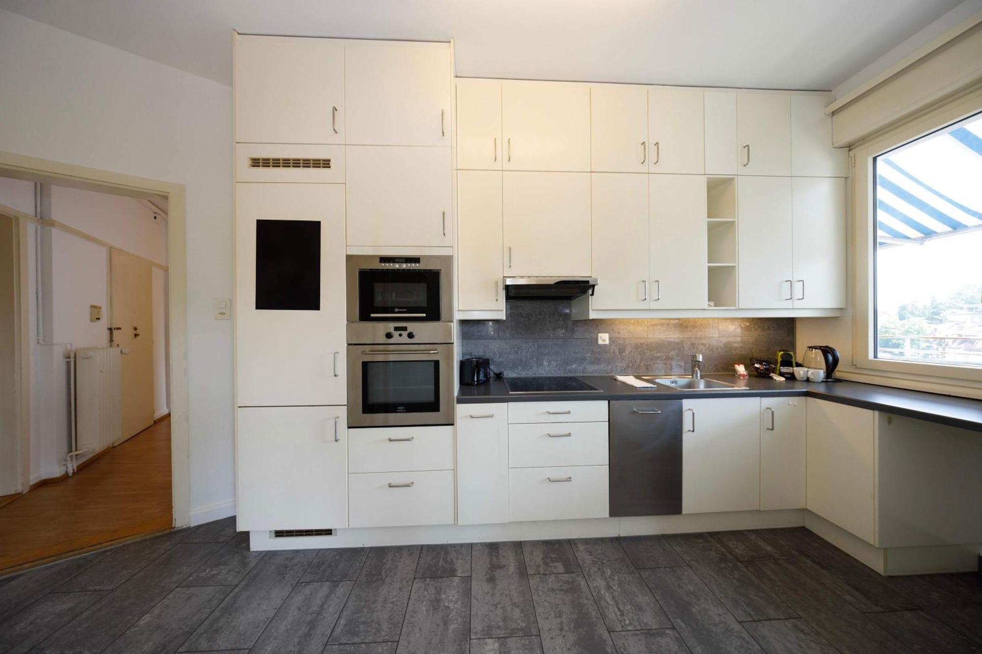 Spacious Huge Terrace & Views Apartment Zurich