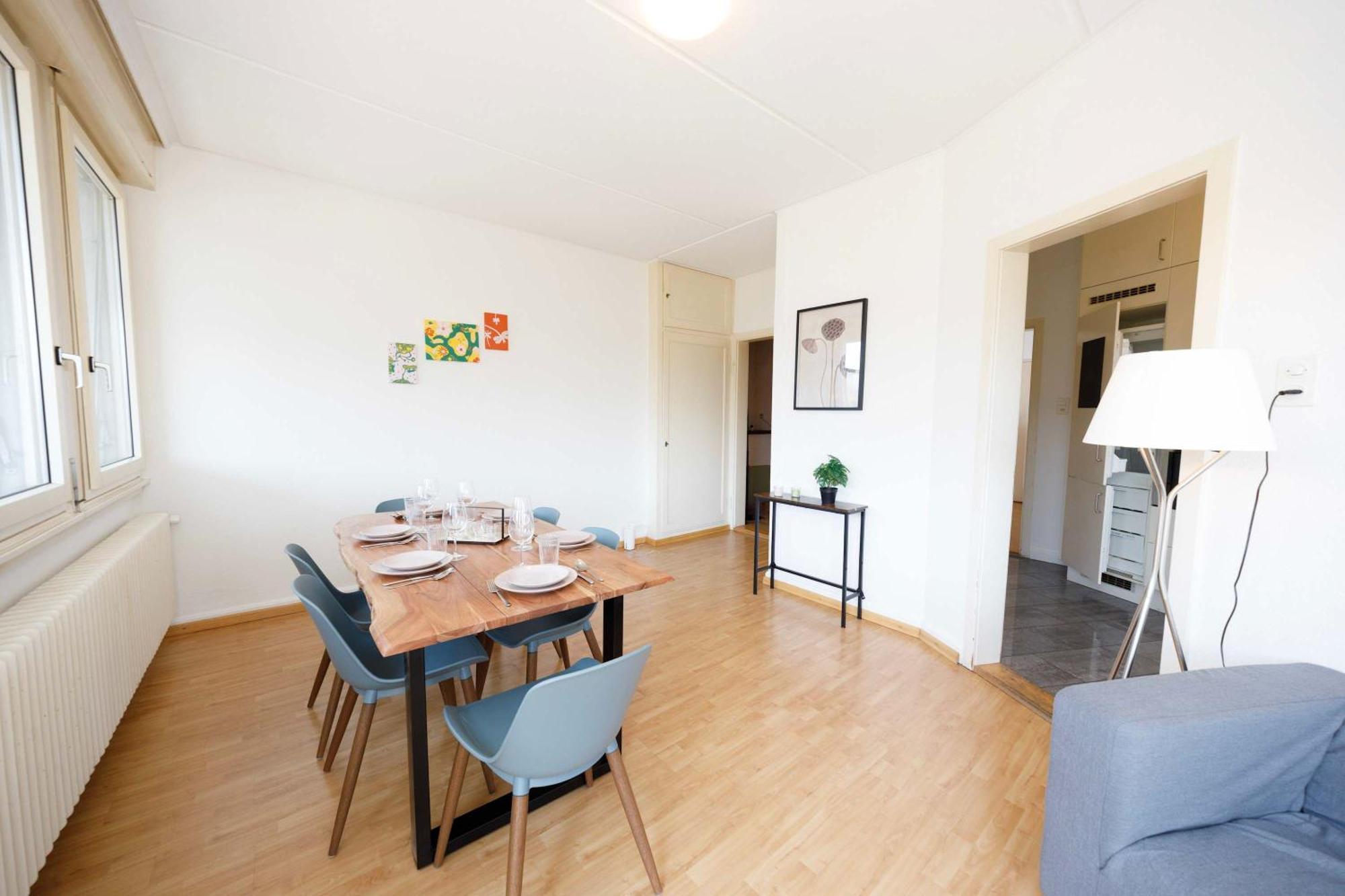 Spacious Huge Terrace & Views * Zurich