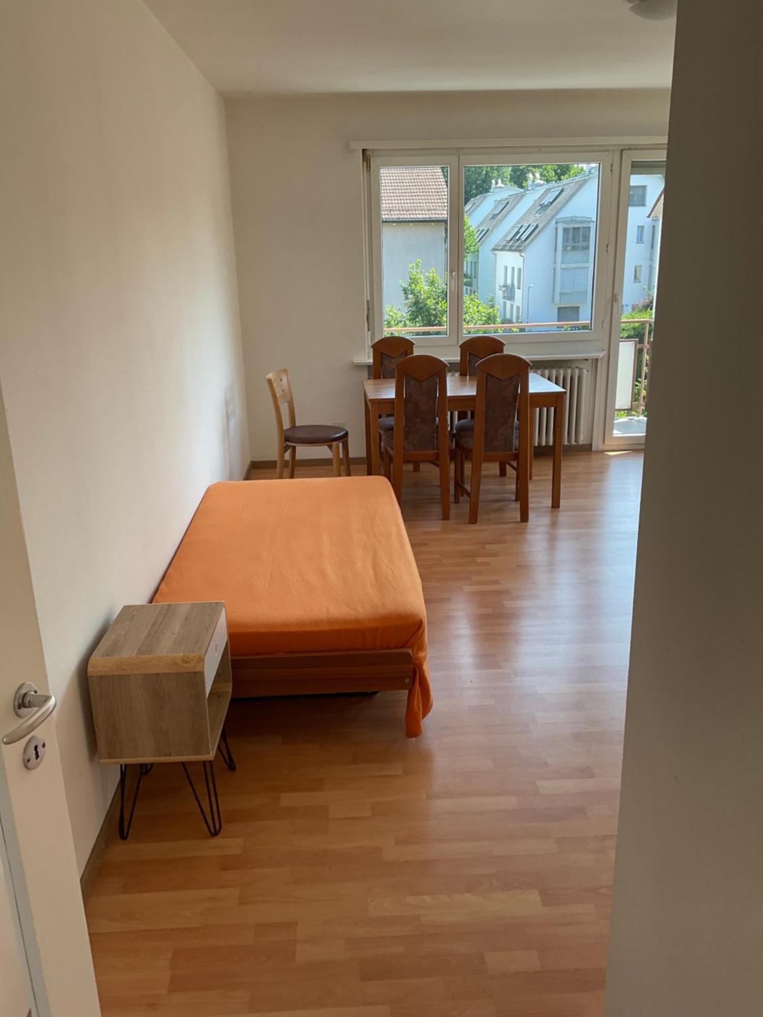 Ferienwohnung Zuerich Zurich