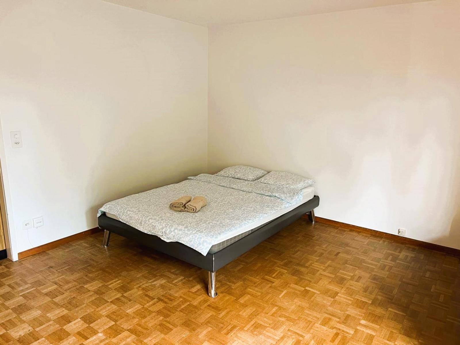 Apartment Center Flats With Balcony & Garden View Rigi - Self Checkin Zurich