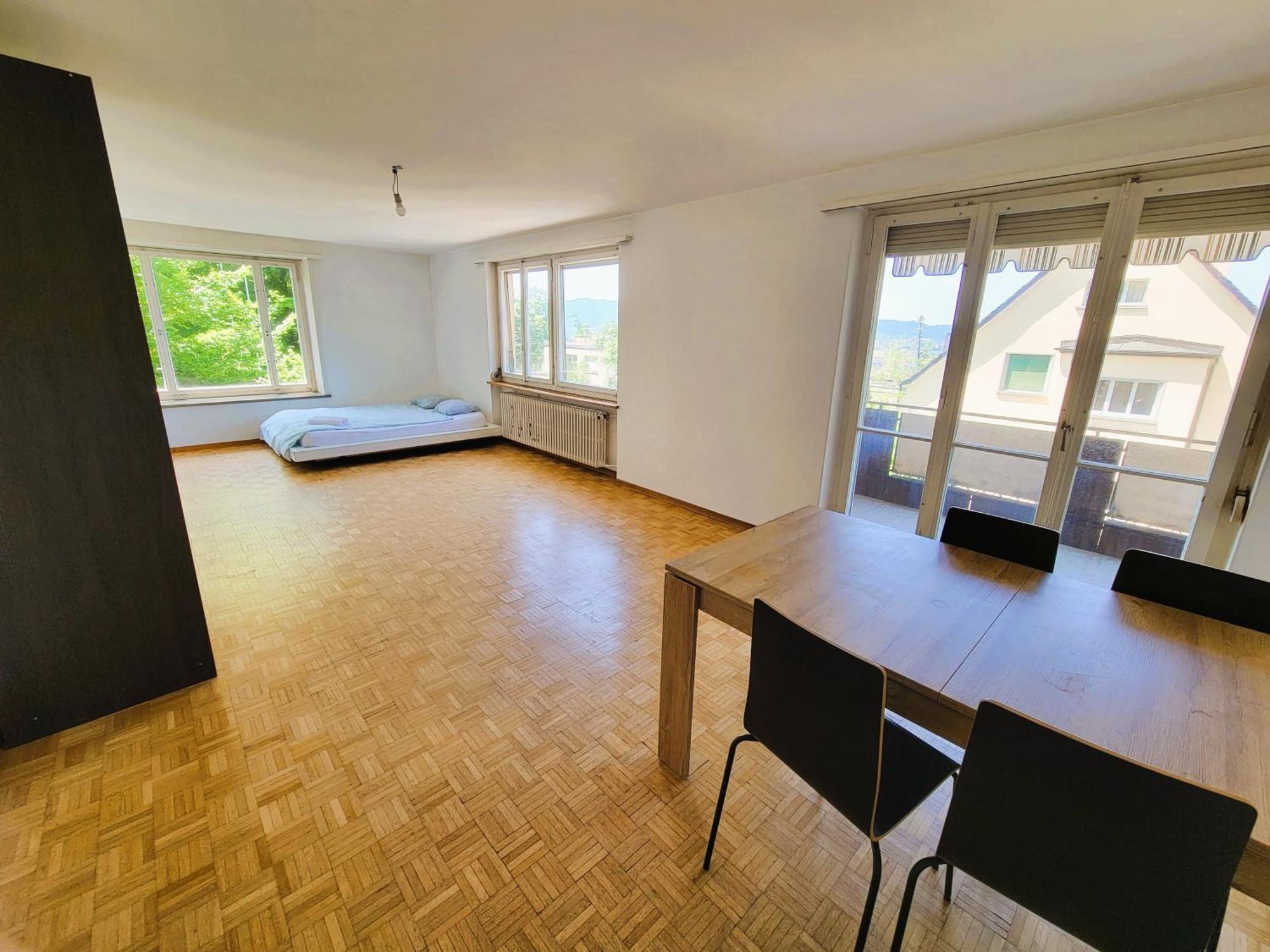 Center Flats With Balcony & Garden View Rigi - Self Checkin Apartment Zurich