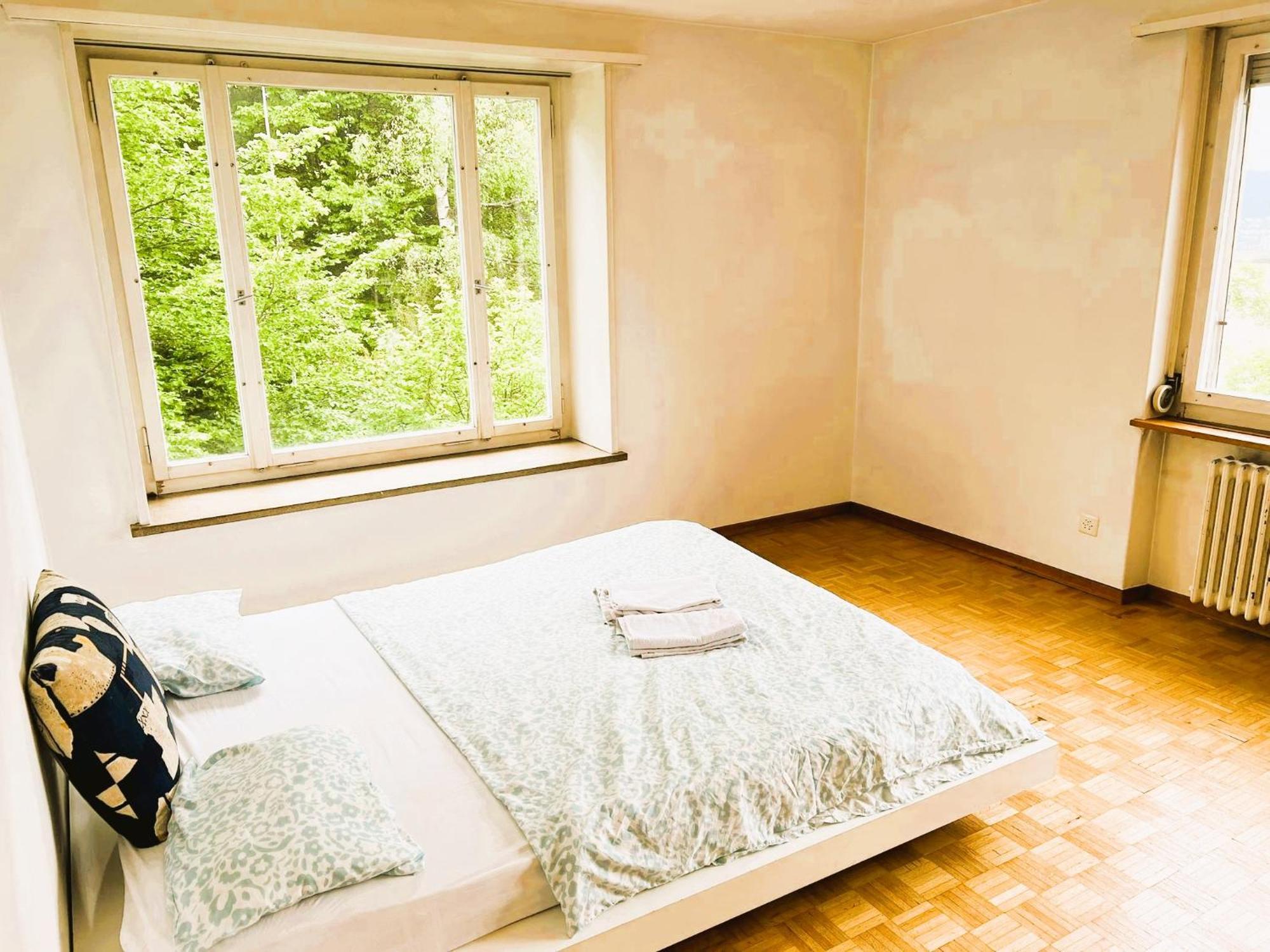 Center Flats With Balcony & Garden View Rigi - Self Checkin * Zurich