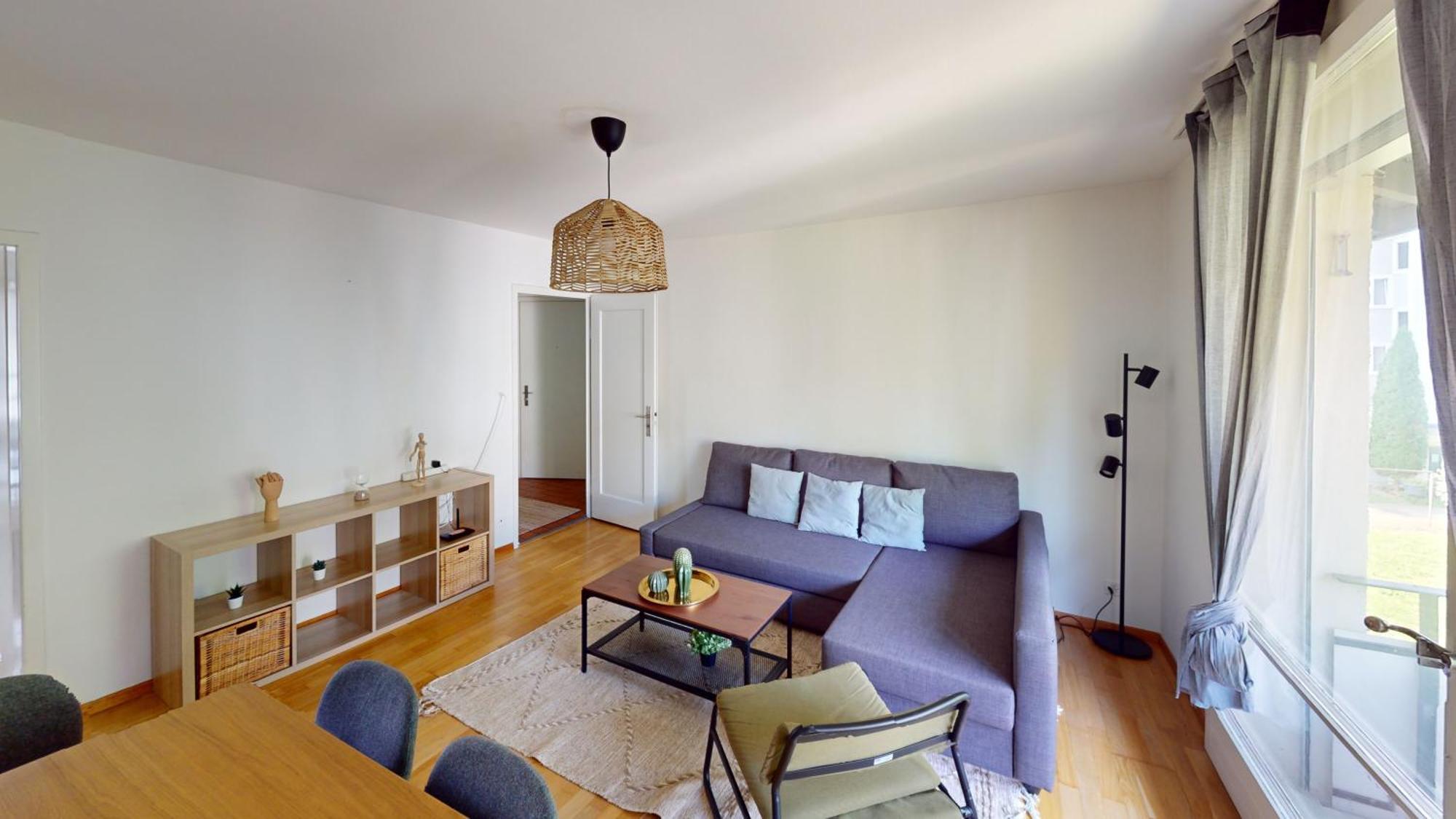 The Ideal Just What Need Apartment Zurich