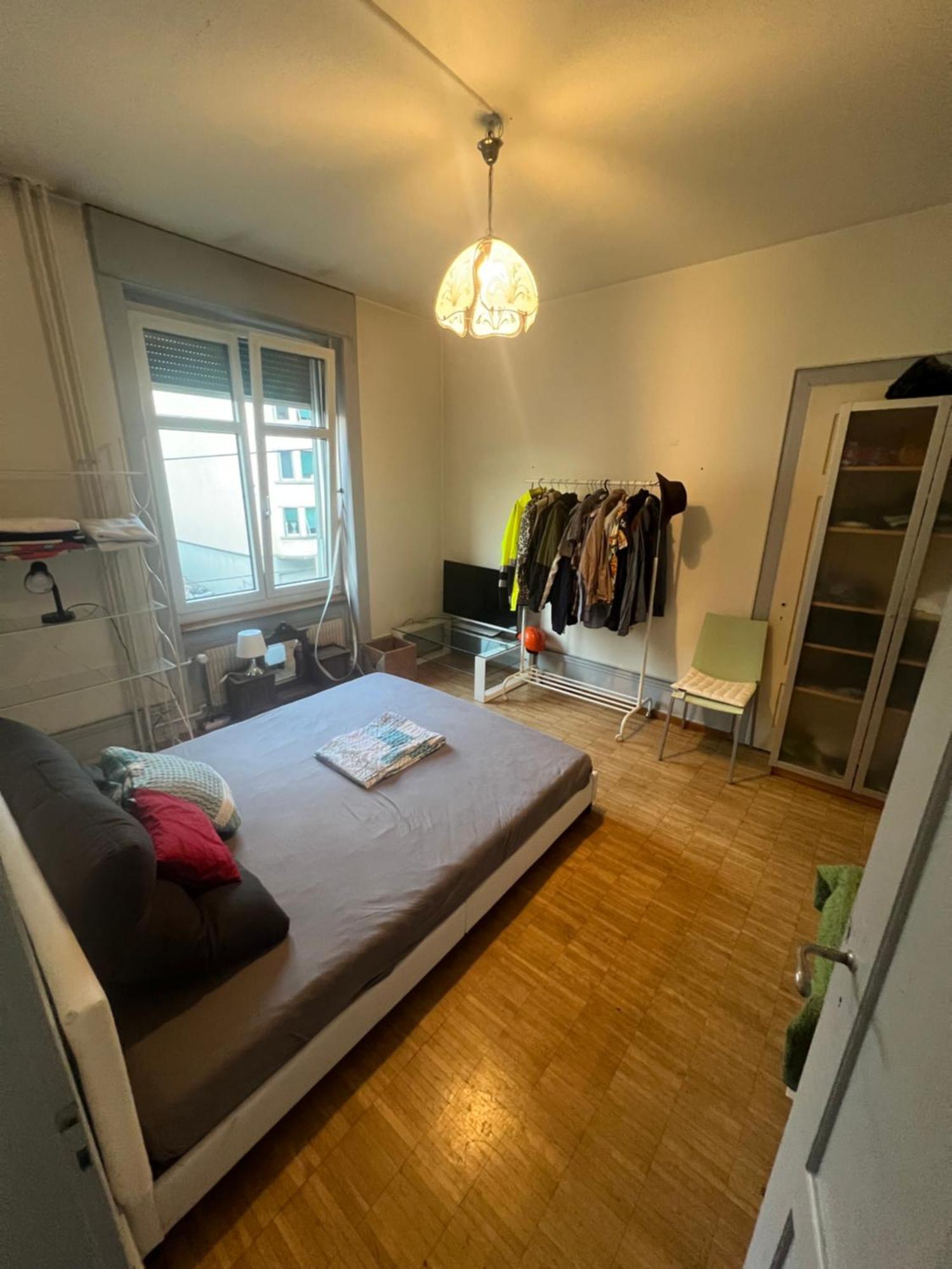 Homestay Rustic Lakeside Gem With Rooftop Looking To Zurich