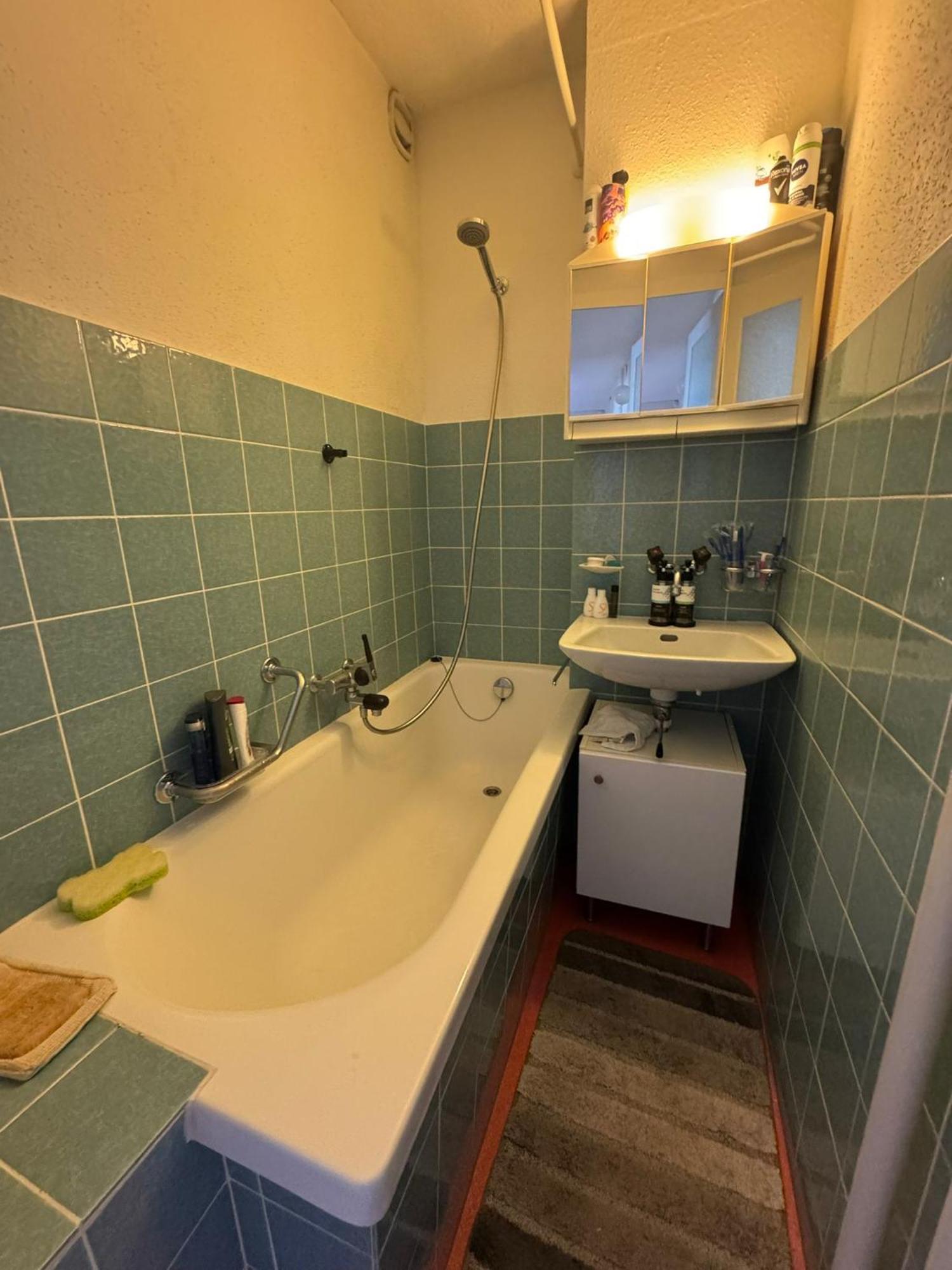 Rustic Lakeside Gem With Rooftop Looking To * Zurich