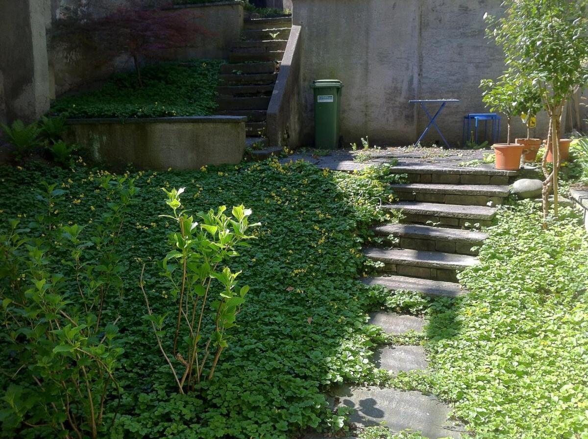 Charming In The Old Town - Uz15 Apartment *