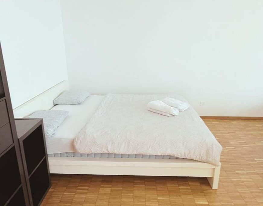 Large Flat, Downtown Center Next To Hb Main Station Muller - Self Checkin