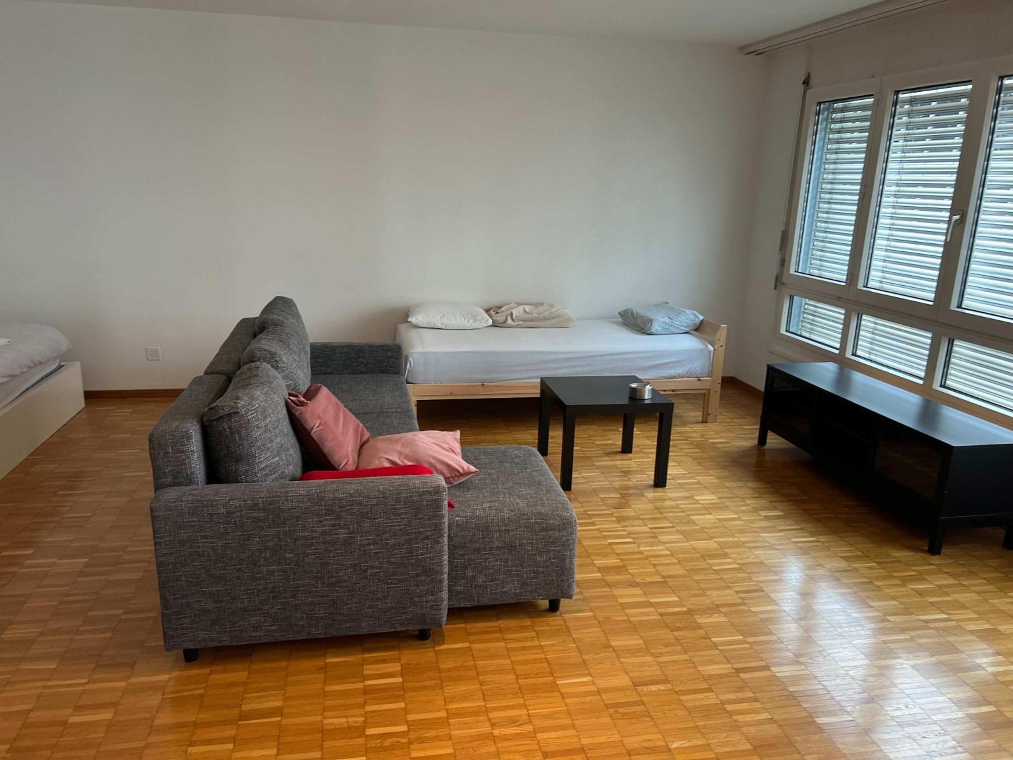 Large Flat, Downtown Center Next To Hb Main Station Muller - Self Checkin * Zurich