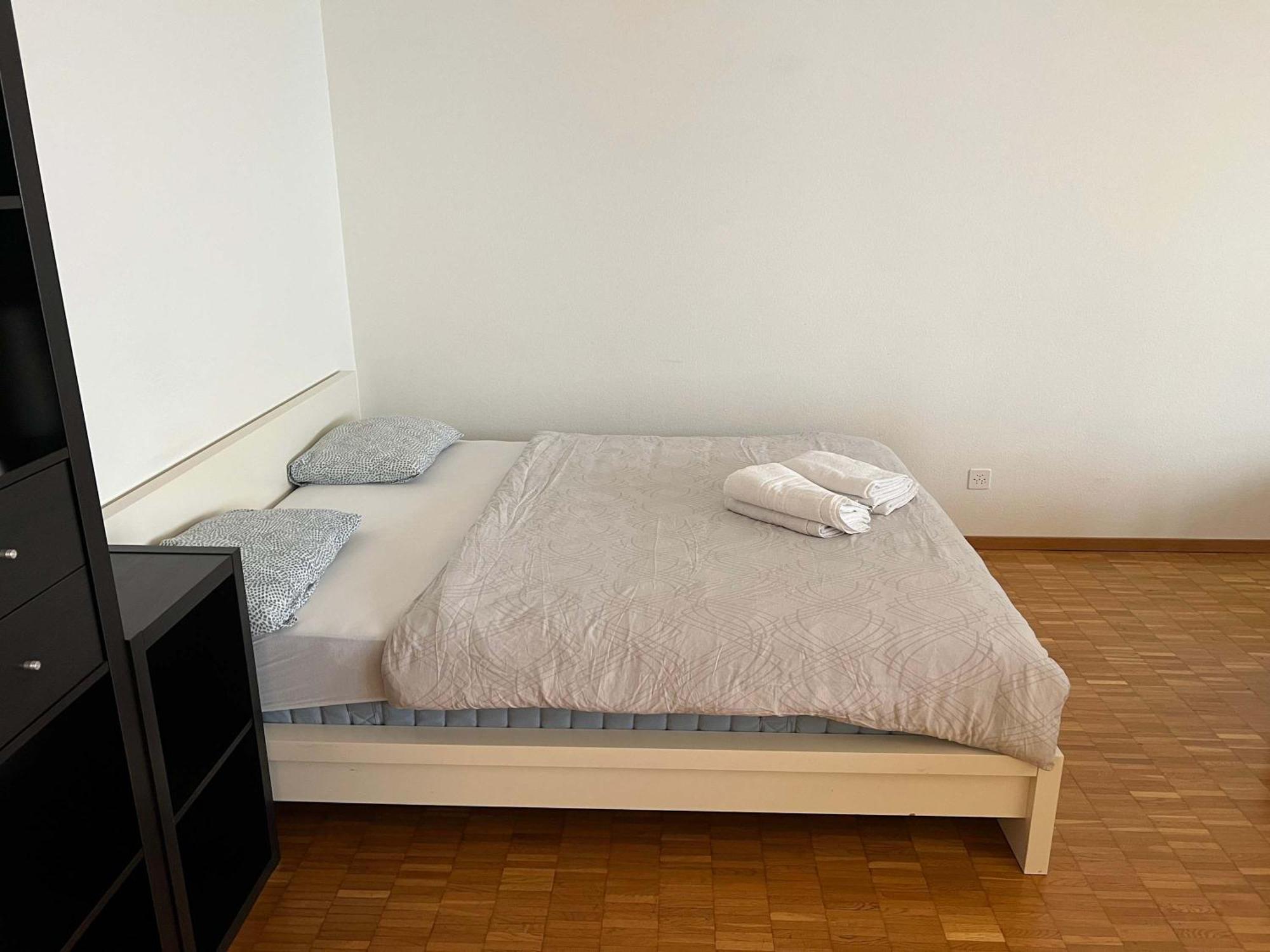 Large Flat, Downtown Center Next To Hb Main Station Muller - Self Checkin