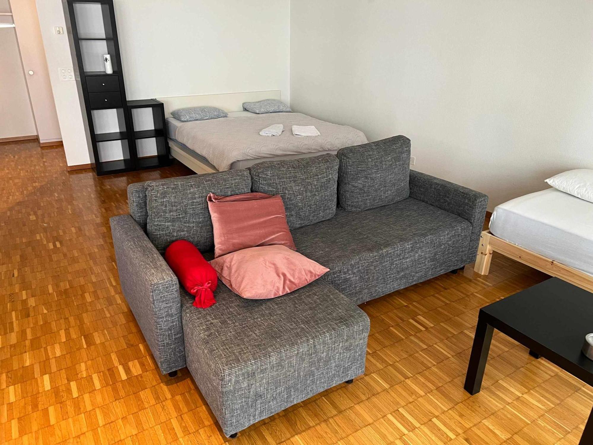 Apartment Large Flat, Downtown Center Next To Hb Main Station Muller - Self Checkin *