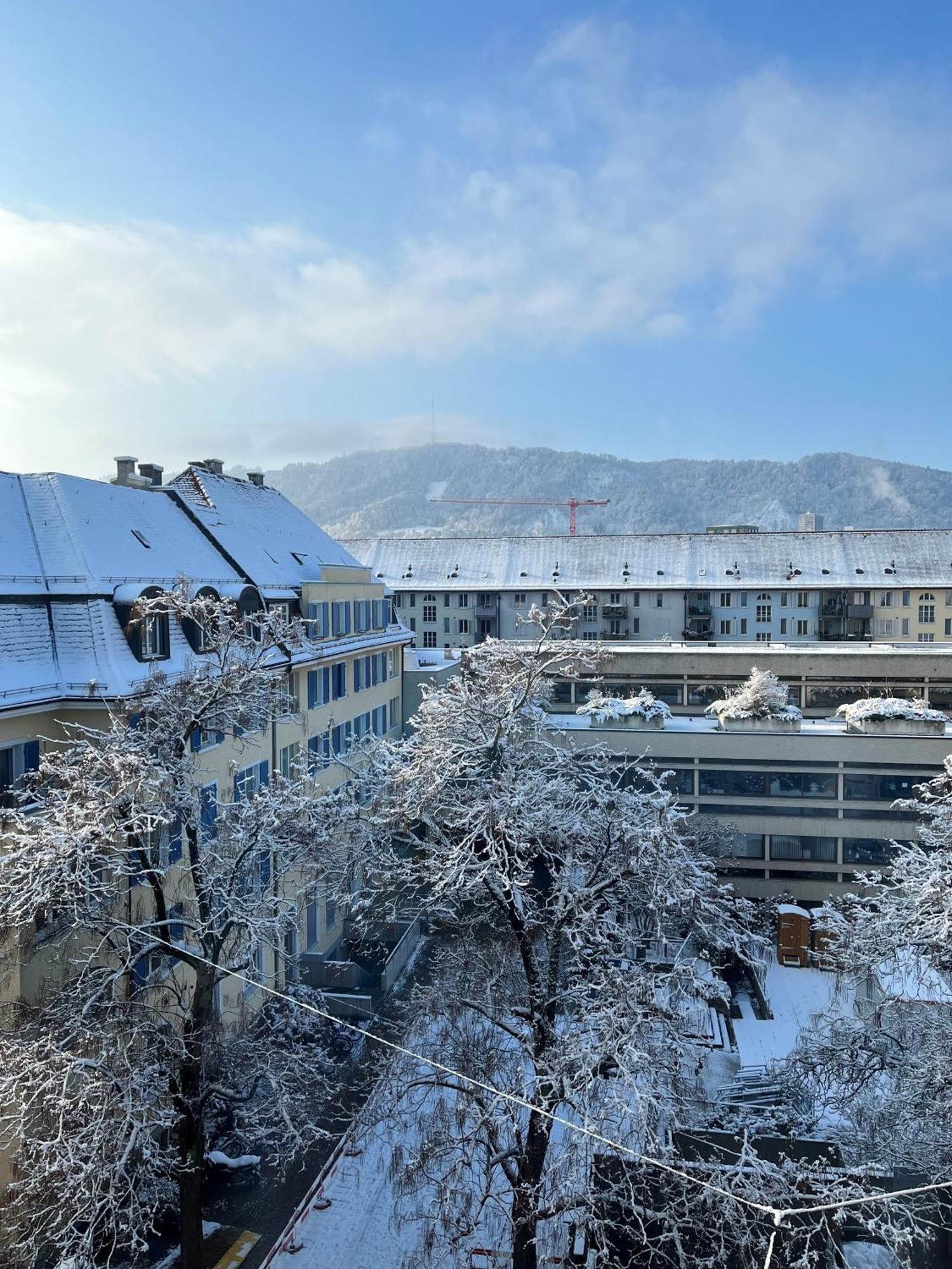 Homestay Cosy In Attic Flat In The Center Of Zurich