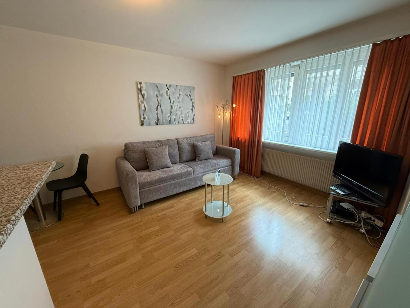 Apartment 1br Flat In The Center - Crown 3