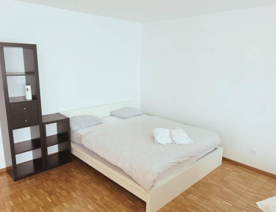 Apartment Large Flat, Downtown Center Next To Hb Main Station Muller - Self Checkin *