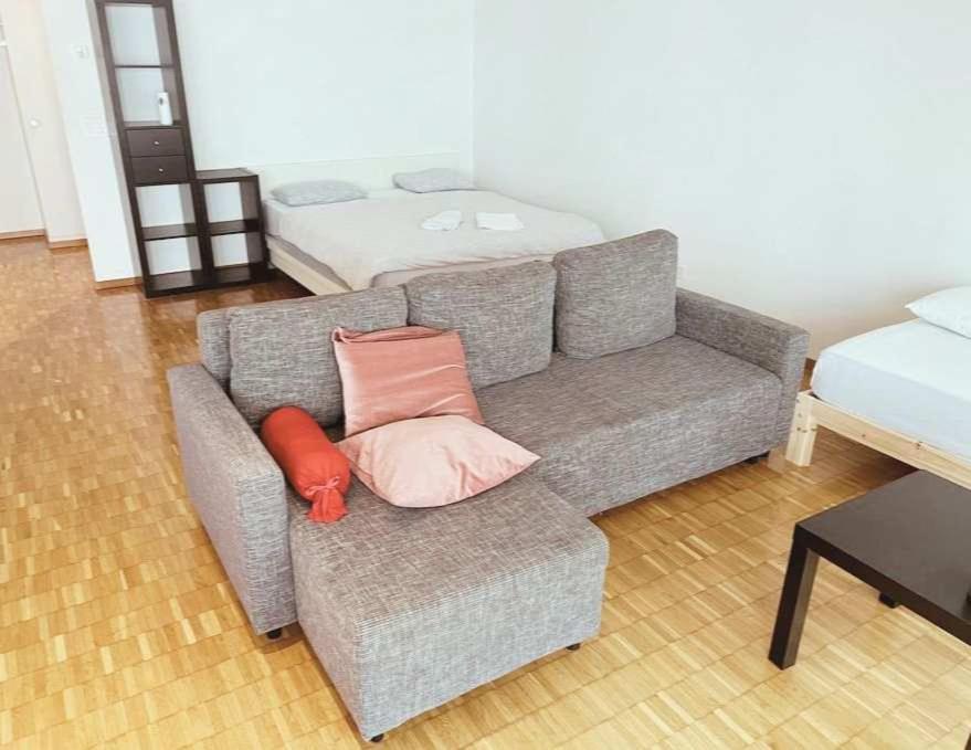 Apartment Large Flat, Downtown Center Next To Hb Main Station Muller - Self Checkin Zurich