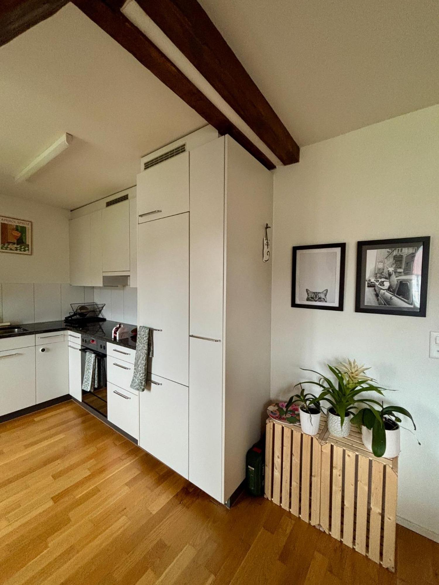 Homestay Cosy In Attic Flat In The Center Of Zurich