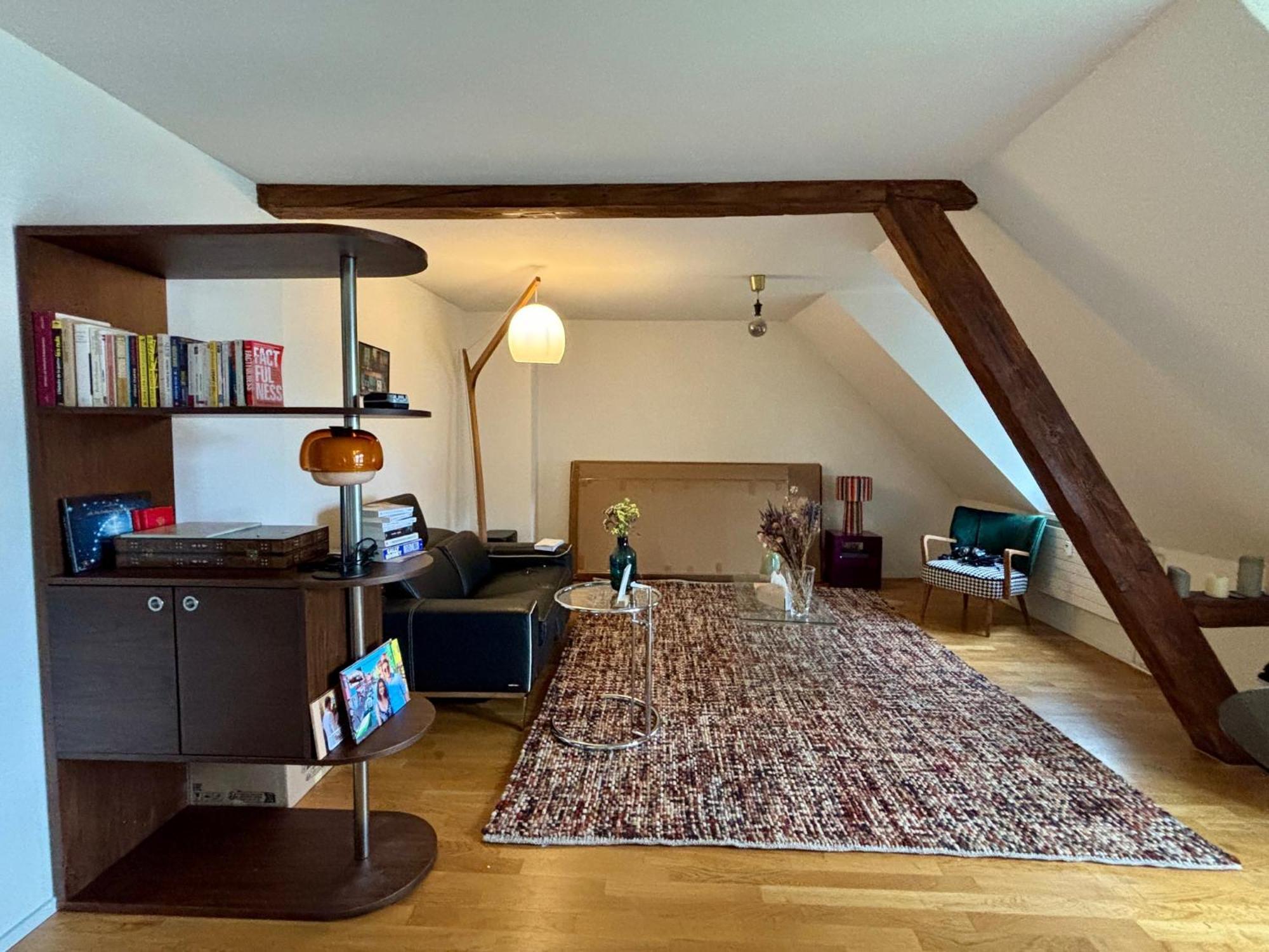 Cosy In Attic Flat In The Center Of Homestay Zurich