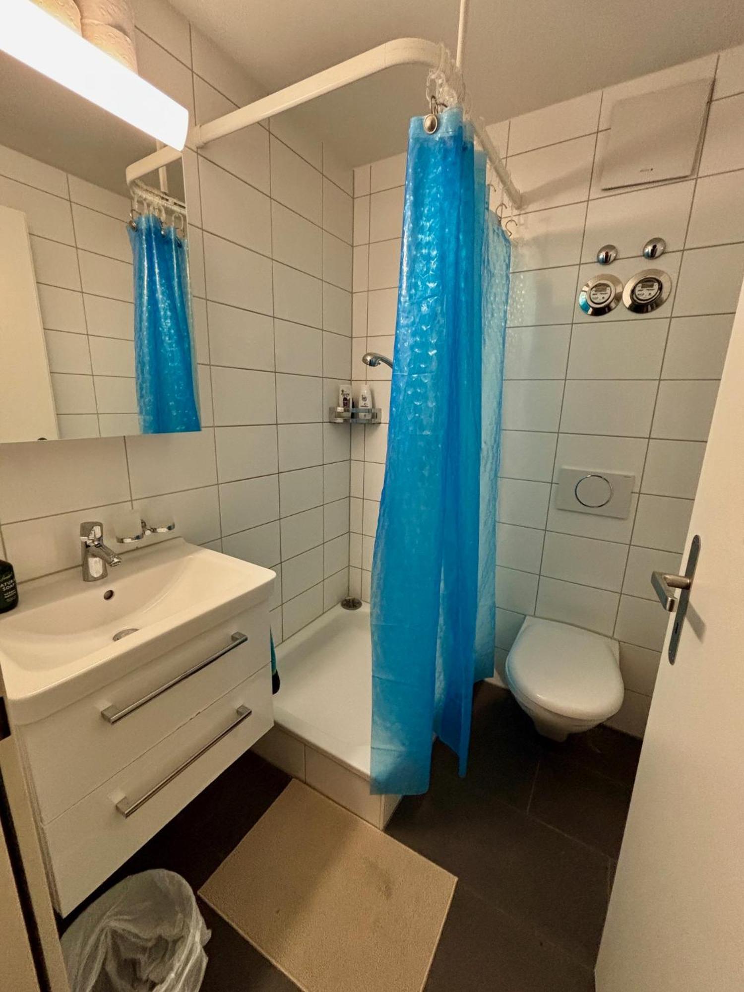 Cosy In Attic Flat In The Center Of *