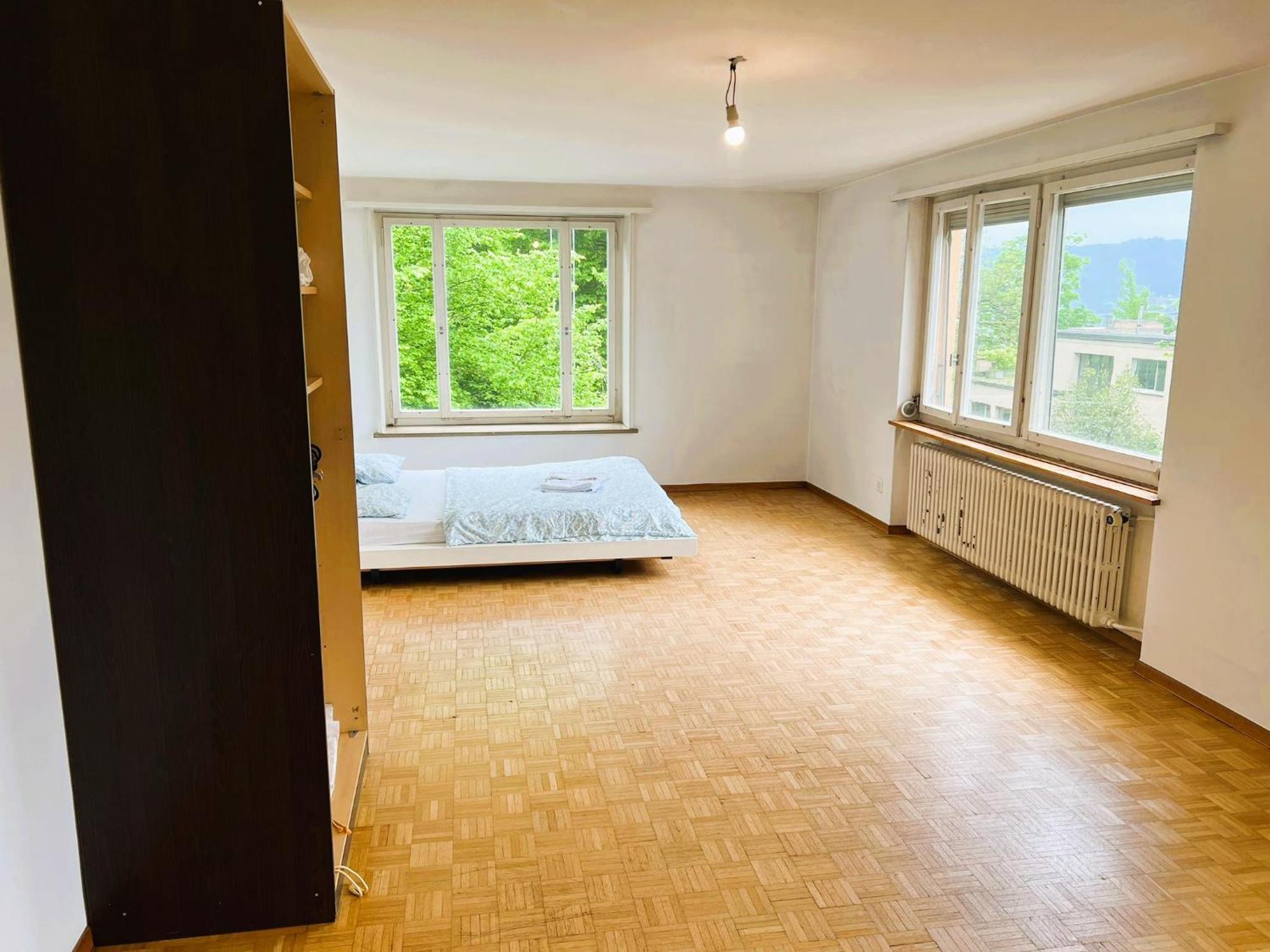 Center With Balcony & Garden View Rigi - Self Checkin Apartment Zurich