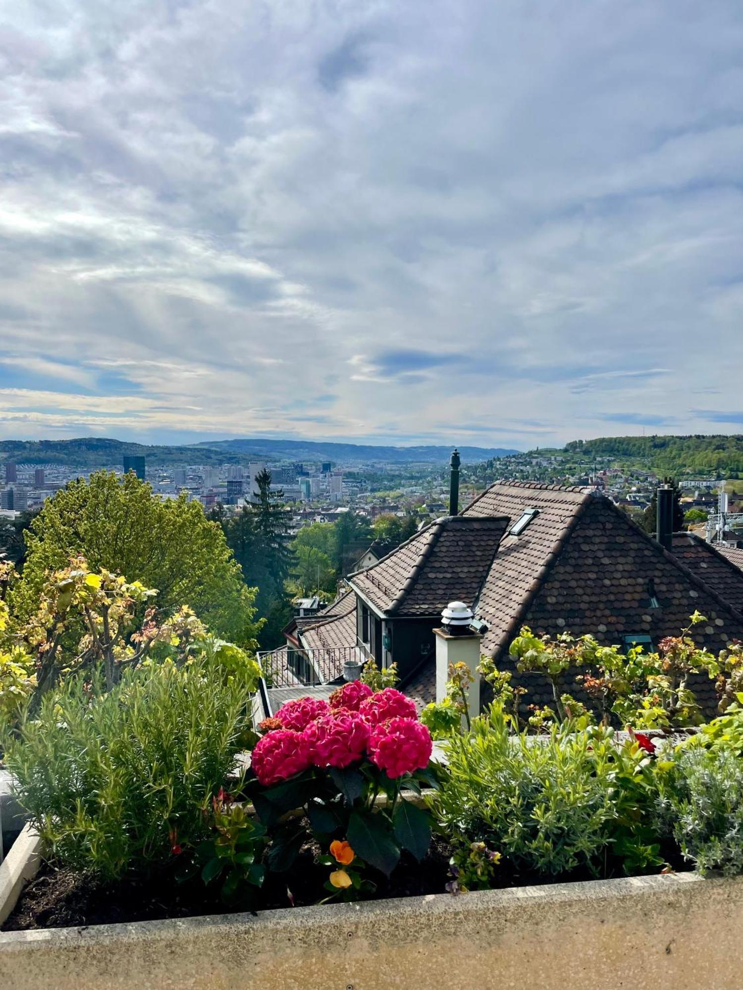 Luxury, Quiet Flat Overlooking Zurich