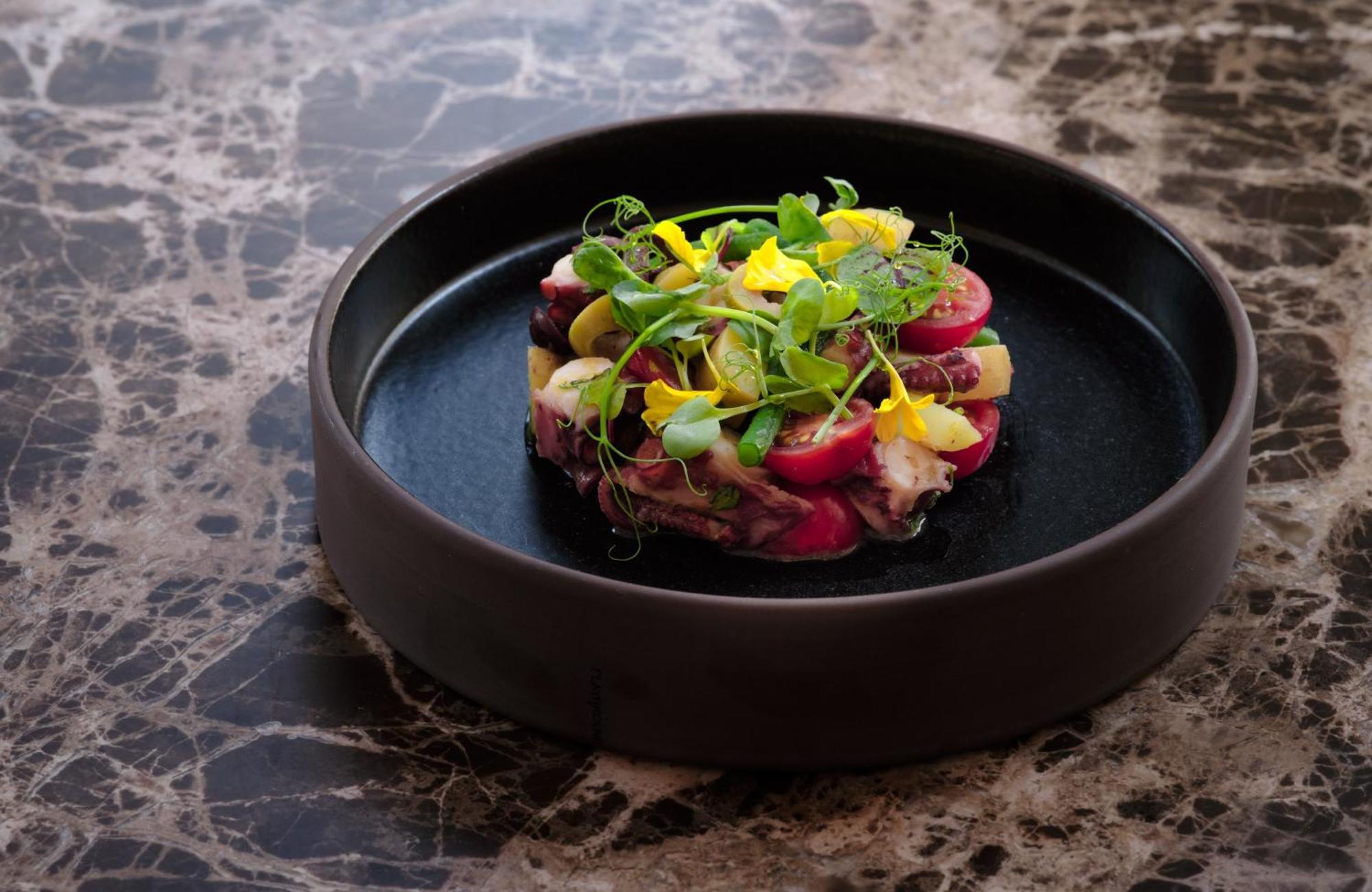 Alden Spluegenschloss - Leonardo Limited Edition