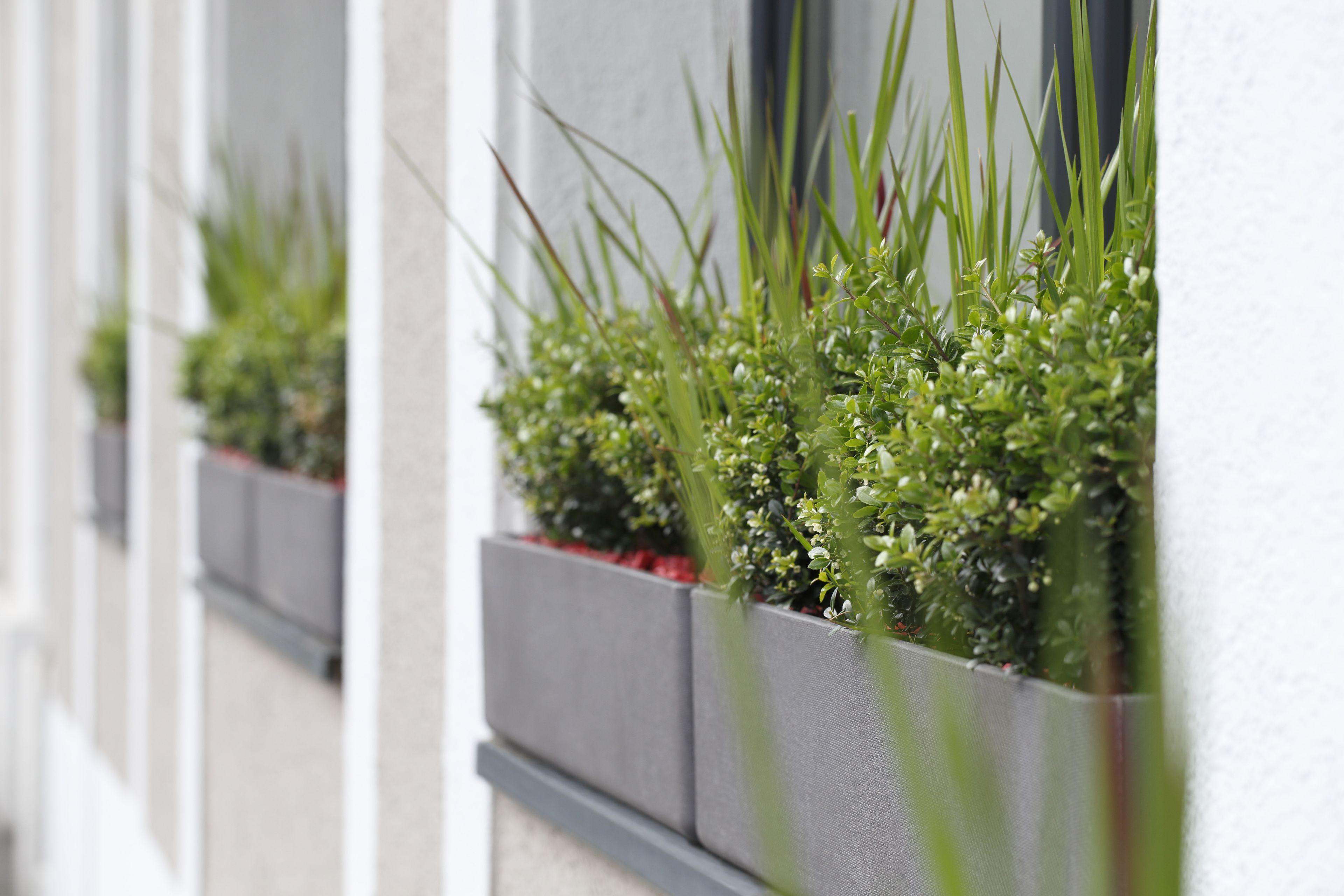 Hotel Fred Hotel Hauptbahnhof - Self Check-In 3*