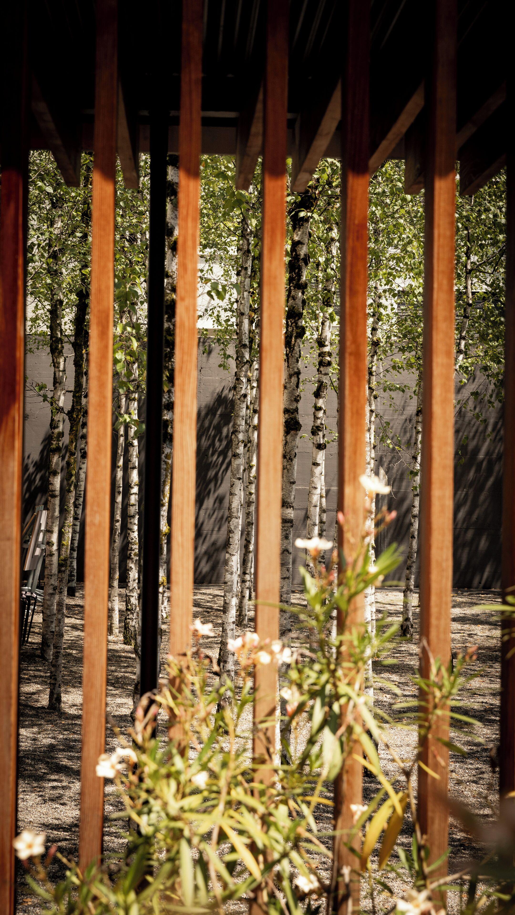 Hotel Greulich Design & Boutique Zurich