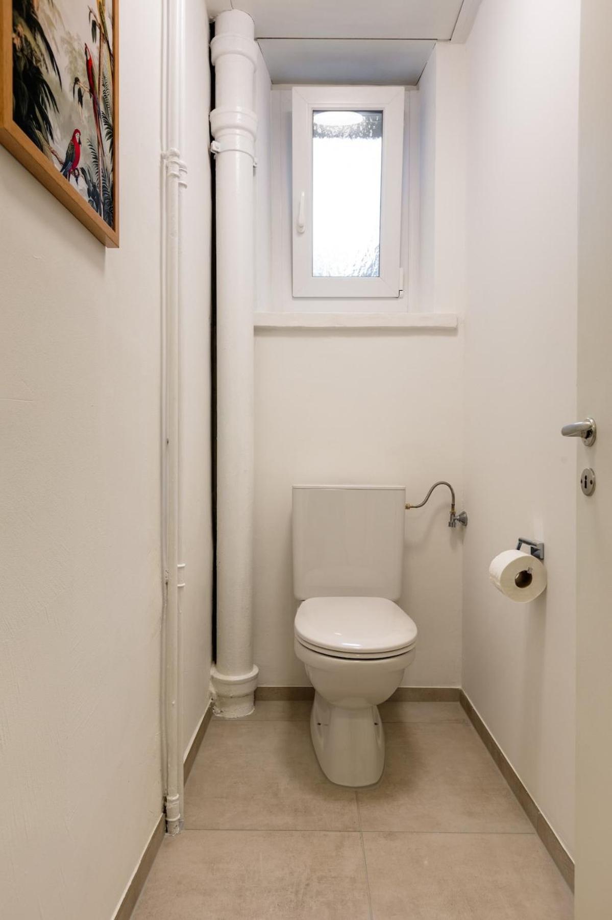 Jungle 3 Bedroom Apartment Zurich