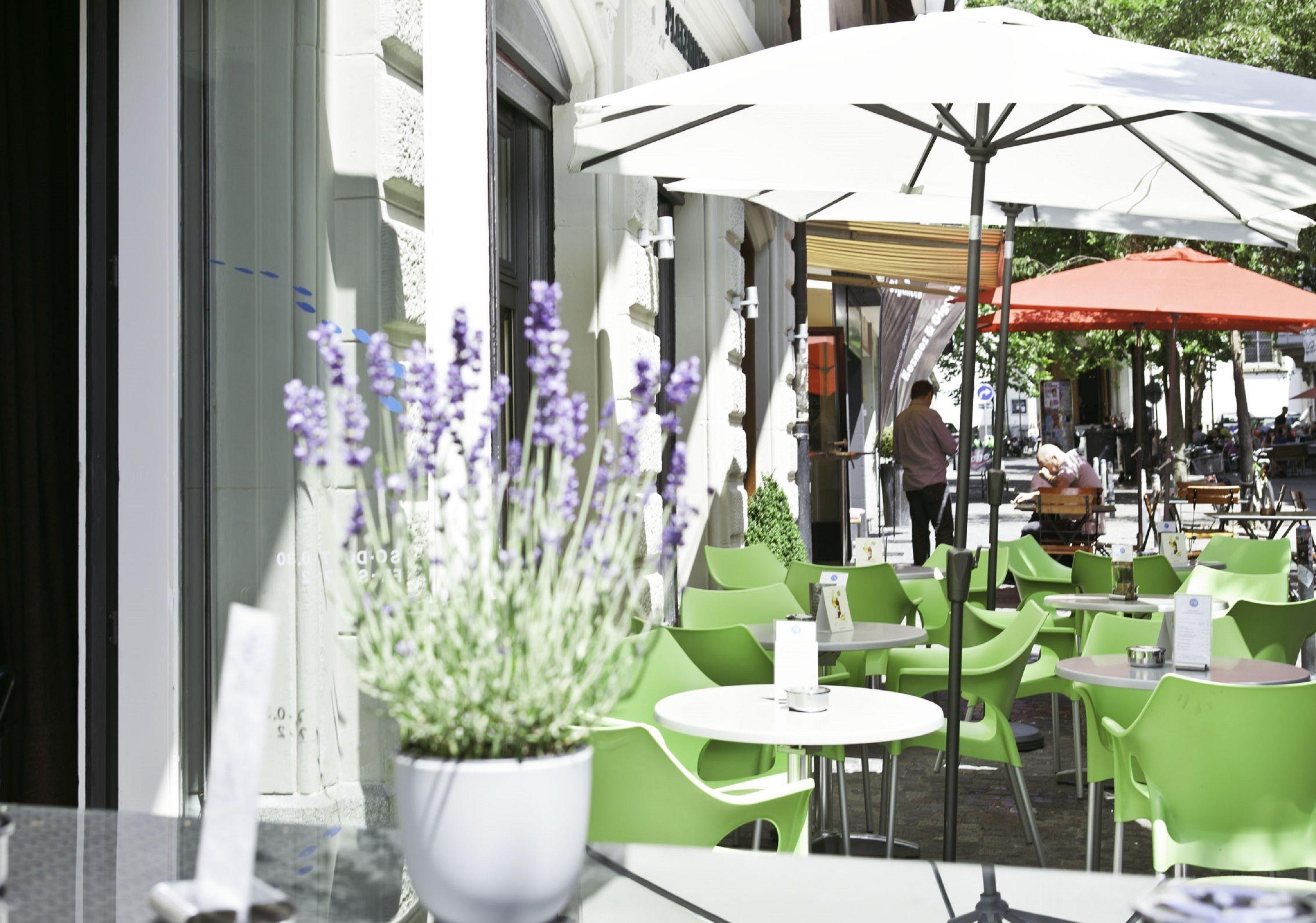 Platzhirsch - Downtown Boutique & Sushi Lounge