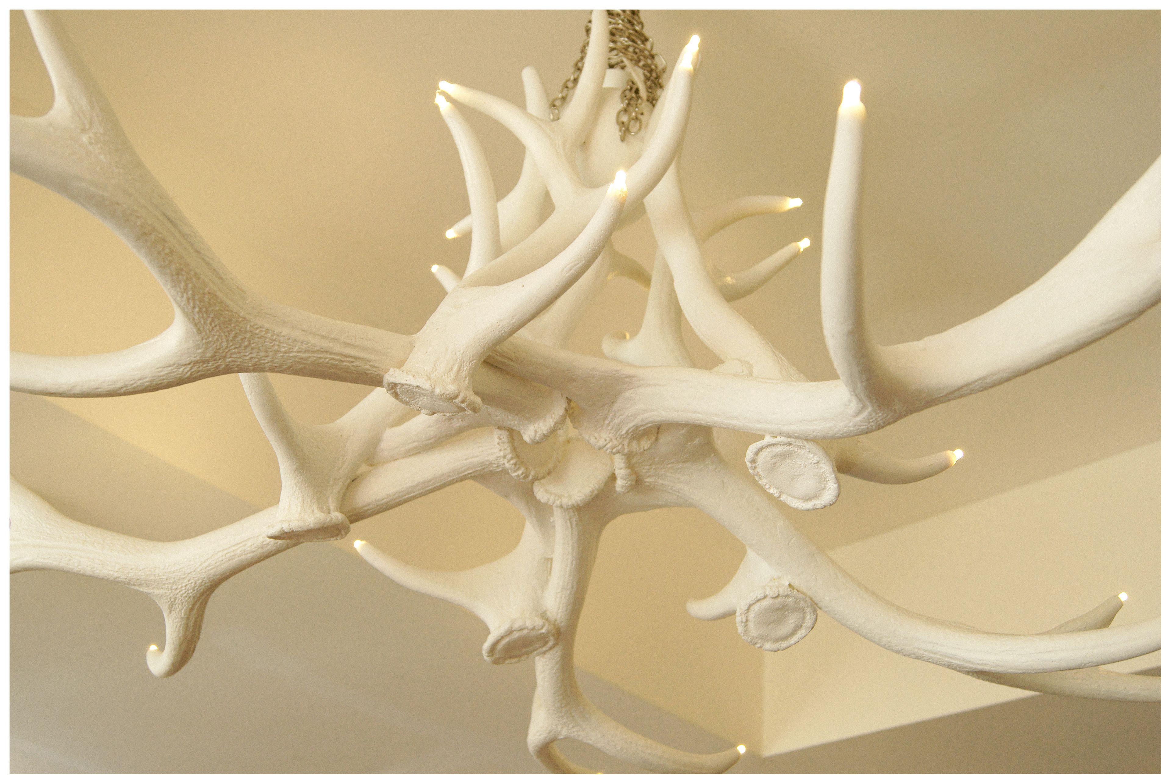 Platzhirsch - Downtown Boutique & Sushi Lounge Hotel