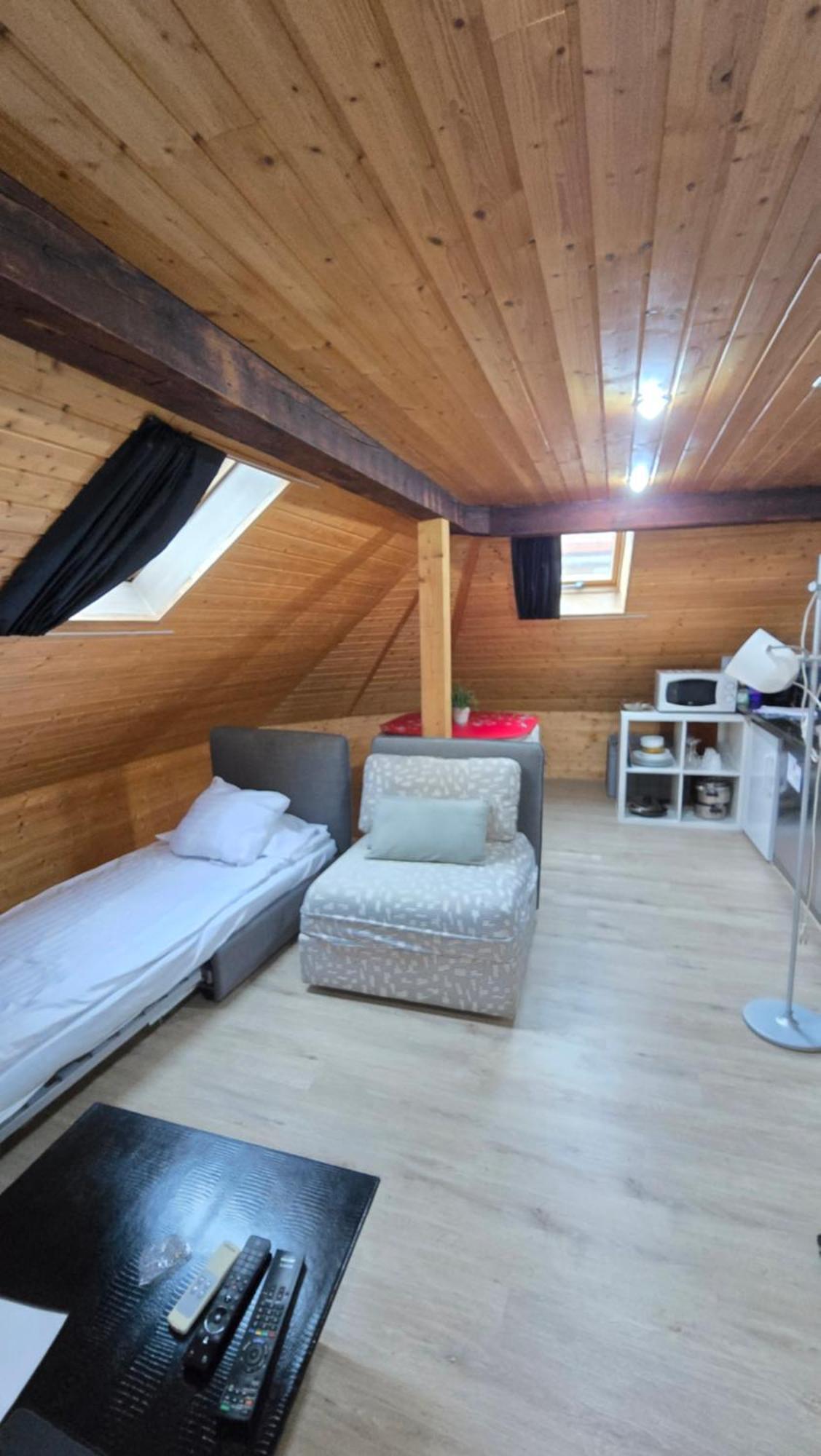 Apartment Attic Loft With Rooftop Terrace! Zurich