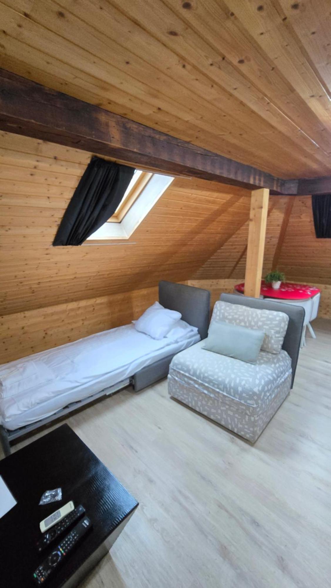 Attic Loft With Rooftop Terrace! * Zurich