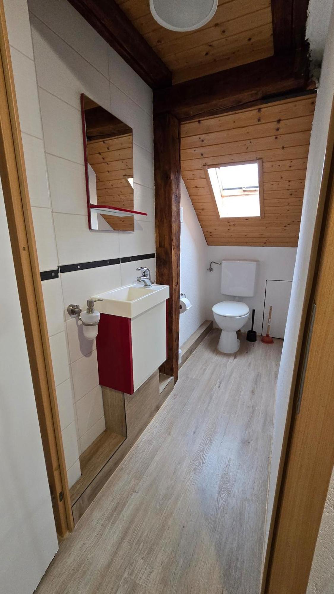 Cozy With Roof Terrace For 3 Apartment Zurich