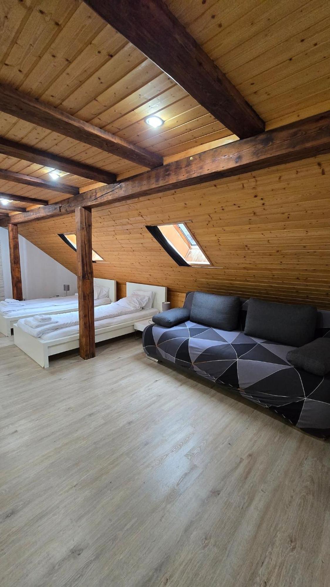 Cozy With Roof Terrace For 3 Apartment Zurich