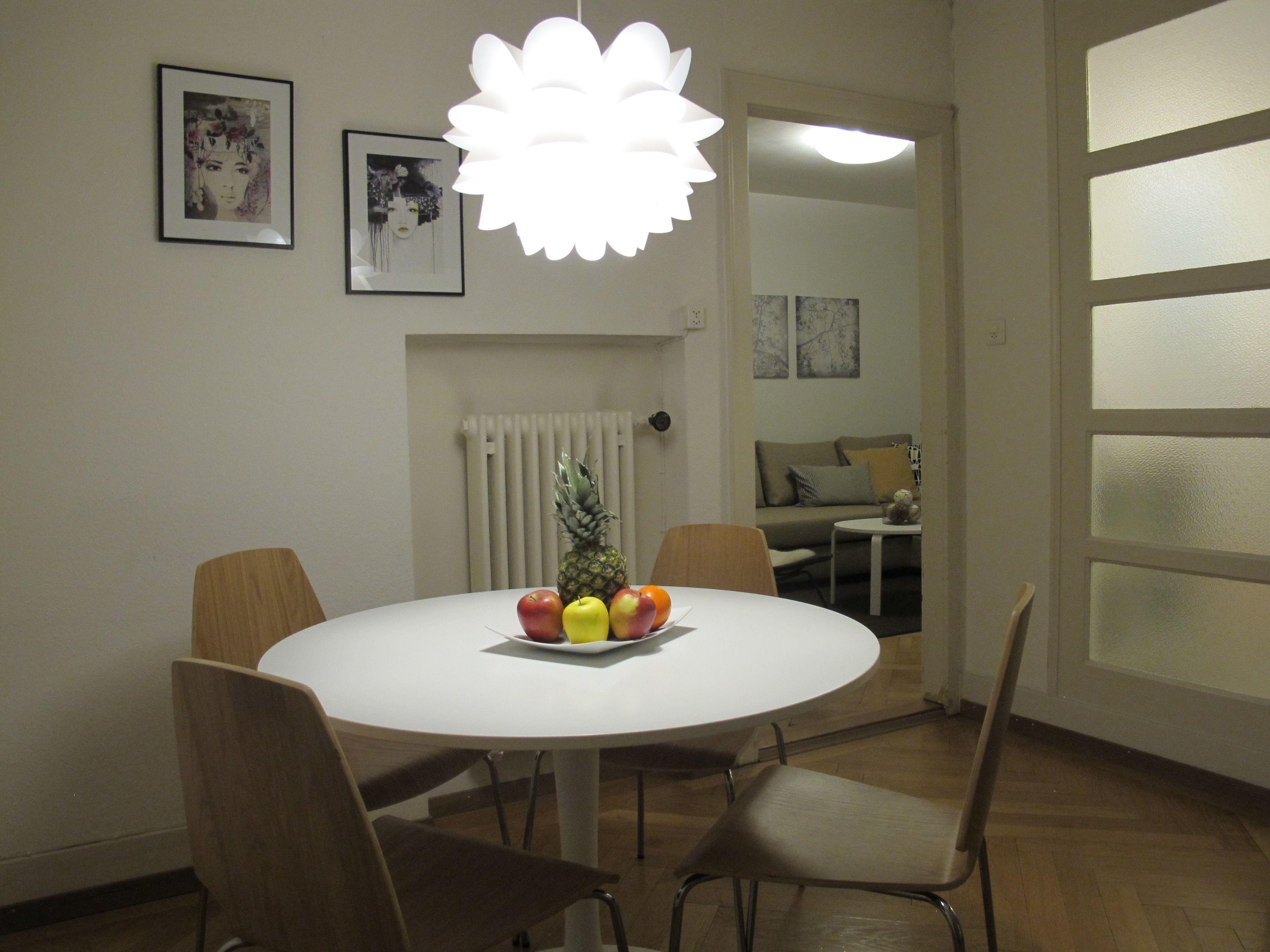 Furnished Apartment Zurich