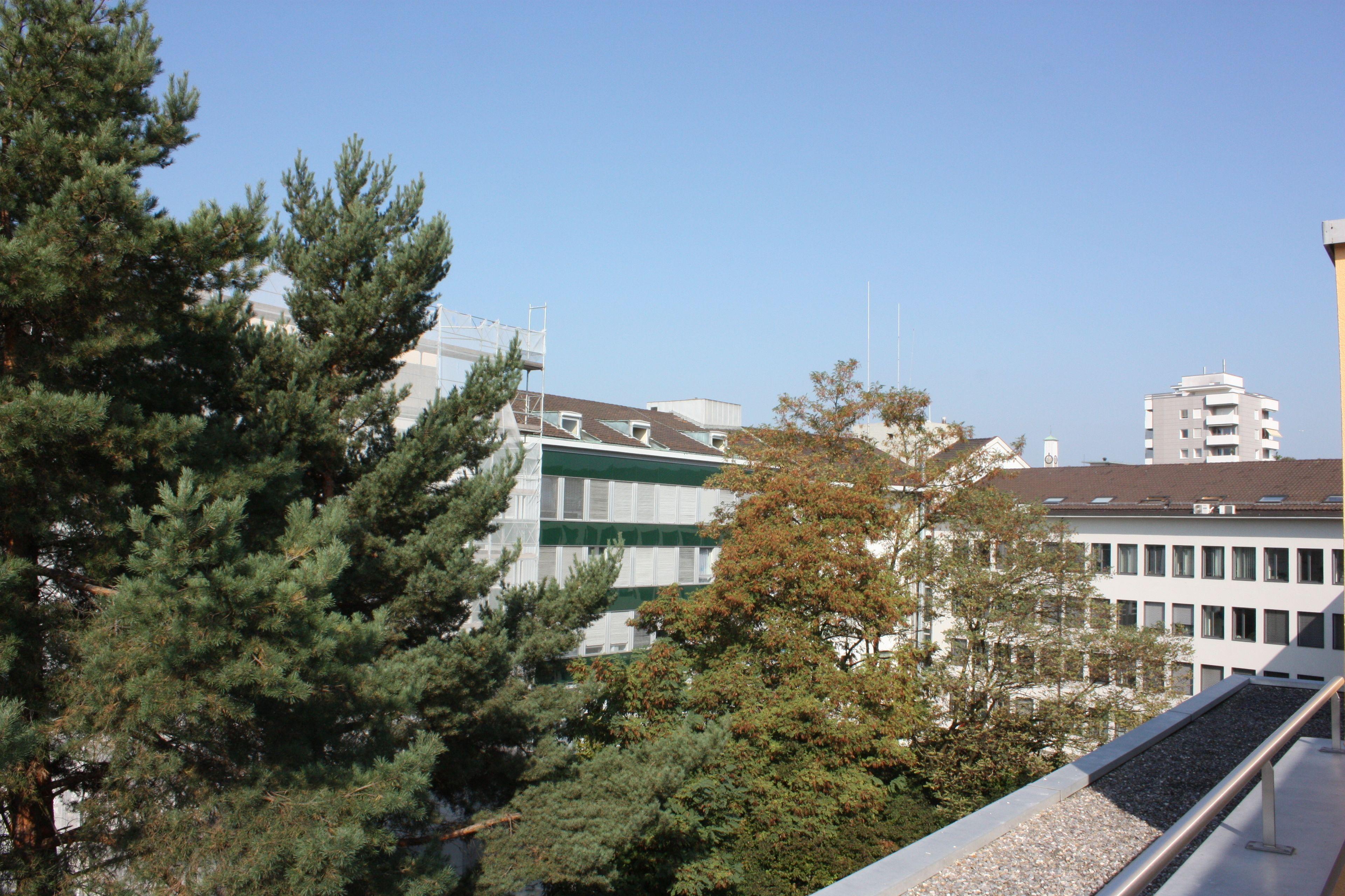 Swiss Star District 11 - Self Check-in Zurich