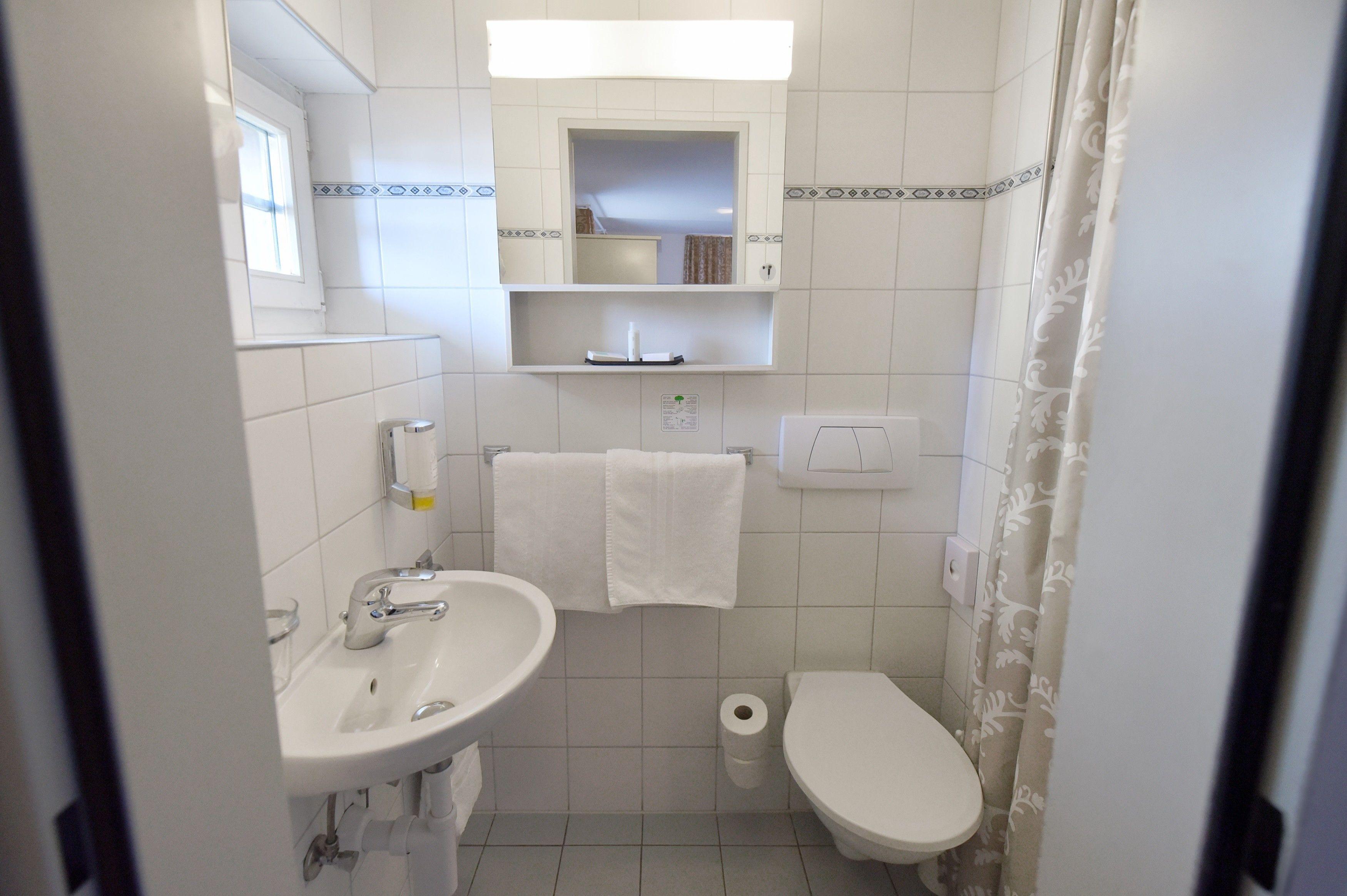 Hirschen Hotel Zurich