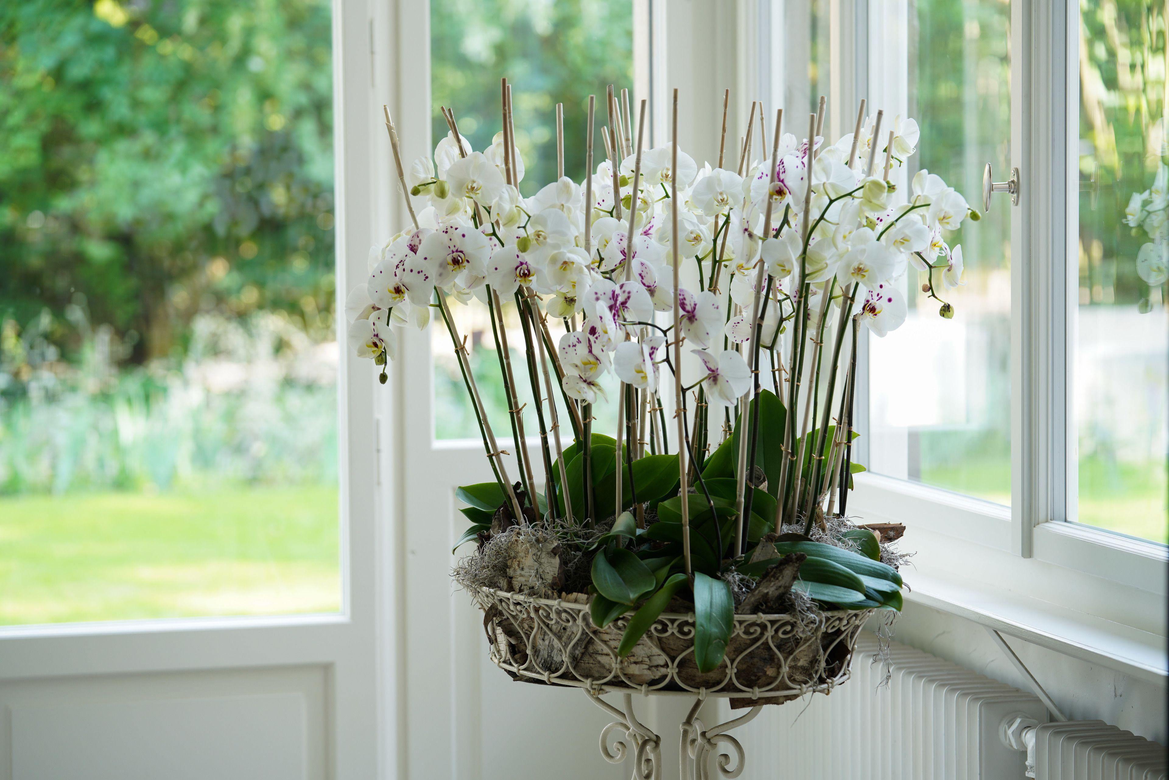 Signau House & Garden Boutique 4* Zurich