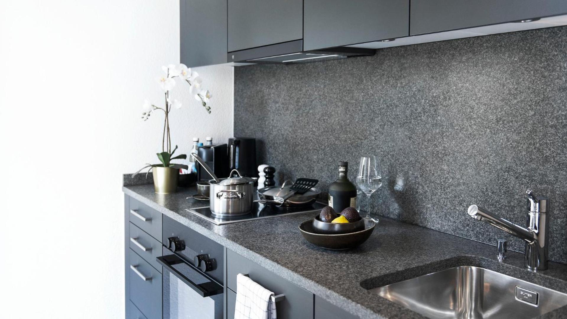 Apartment Cosmopolitan Seefeld Zurich