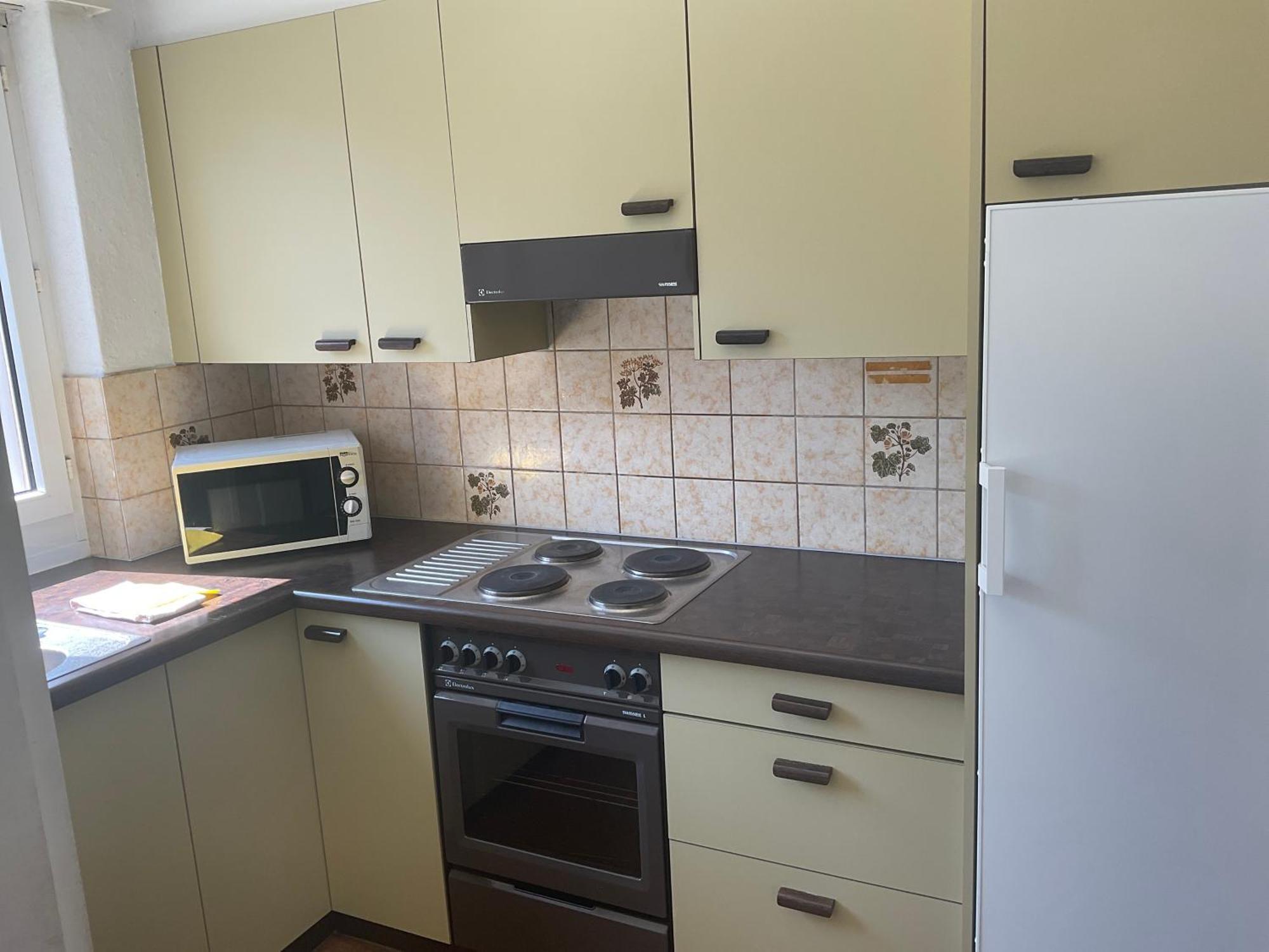 Apartment Ferienwohnung Zuerich Zurich