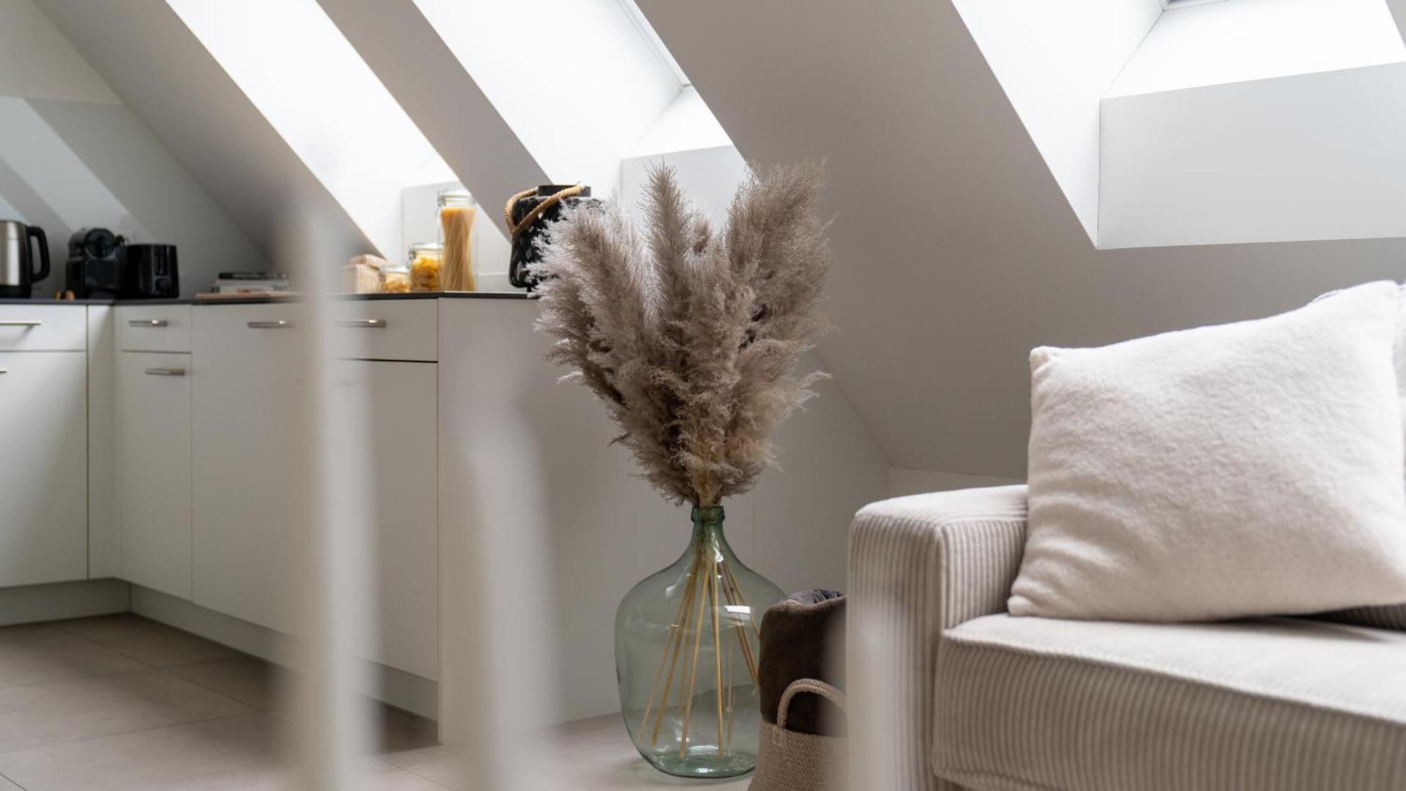 Modern Next To Hb With Roof Terrace Apartment Zurich