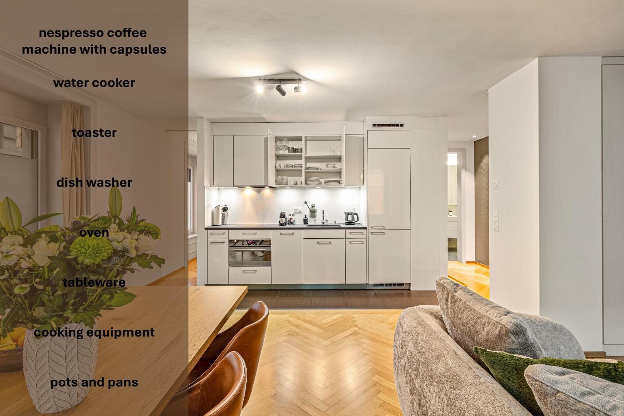 Apartment Im Stadtzentrum Gelegenes Mit Kingsize Bed Zurich