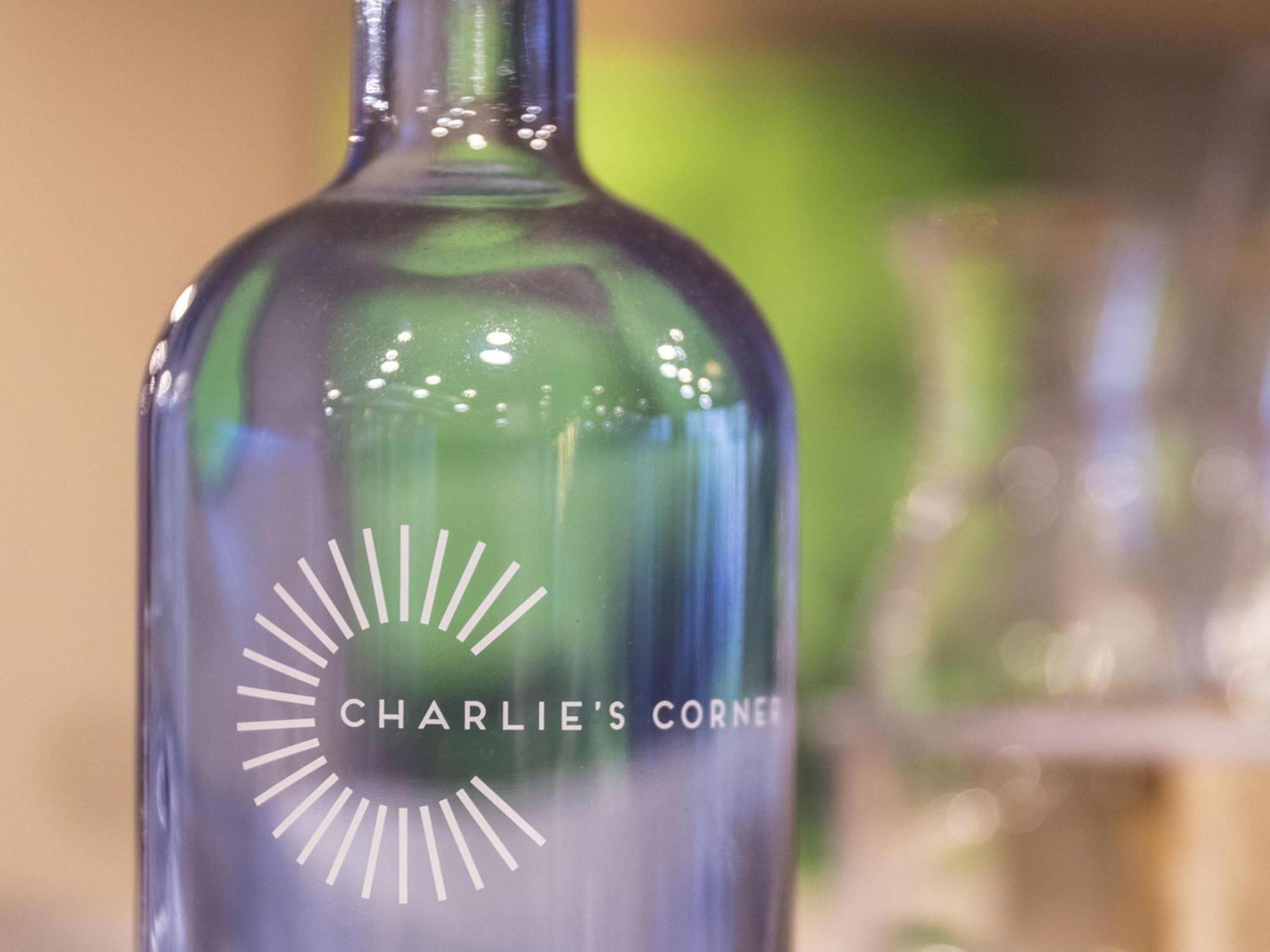 Ibis Messe Airport Hotel