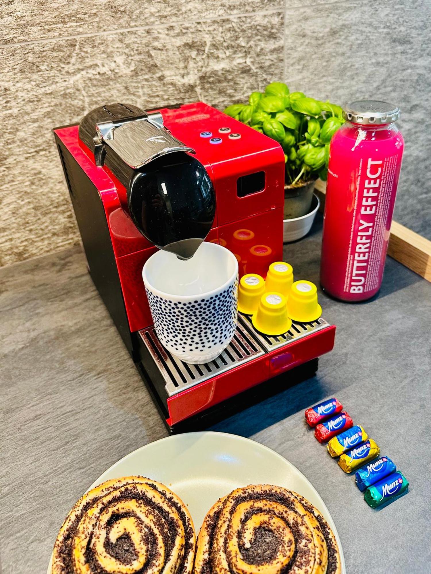 Alpine With Ac, Garden Terrace And Much Privacy Zurich