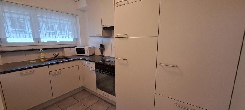 Executive 2 Bd Flat In Center - Hoesch 1 Apartment Zurich