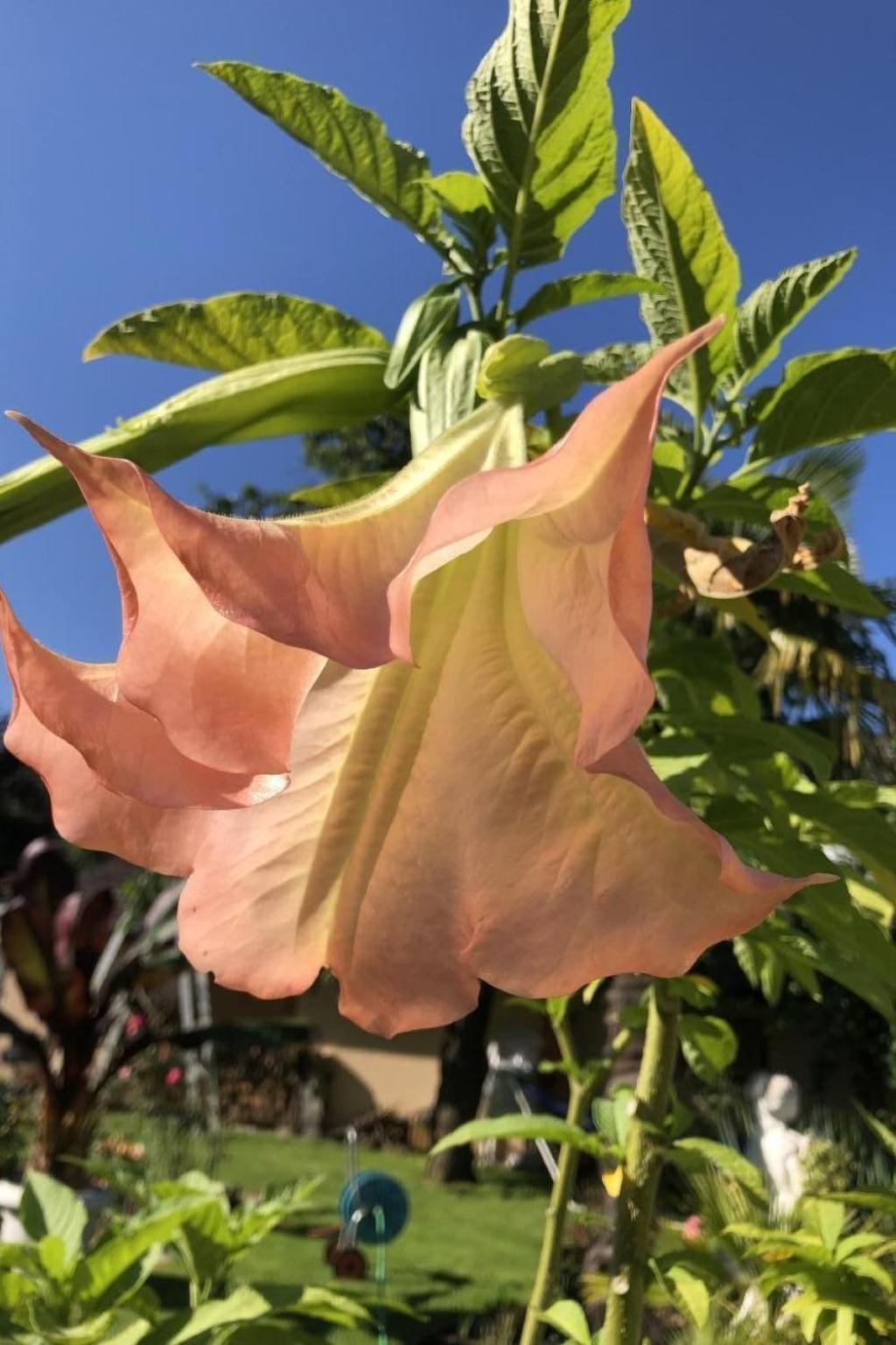 Casa Blumer - Mit 1200m2 Garten By Interhome Holiday home *