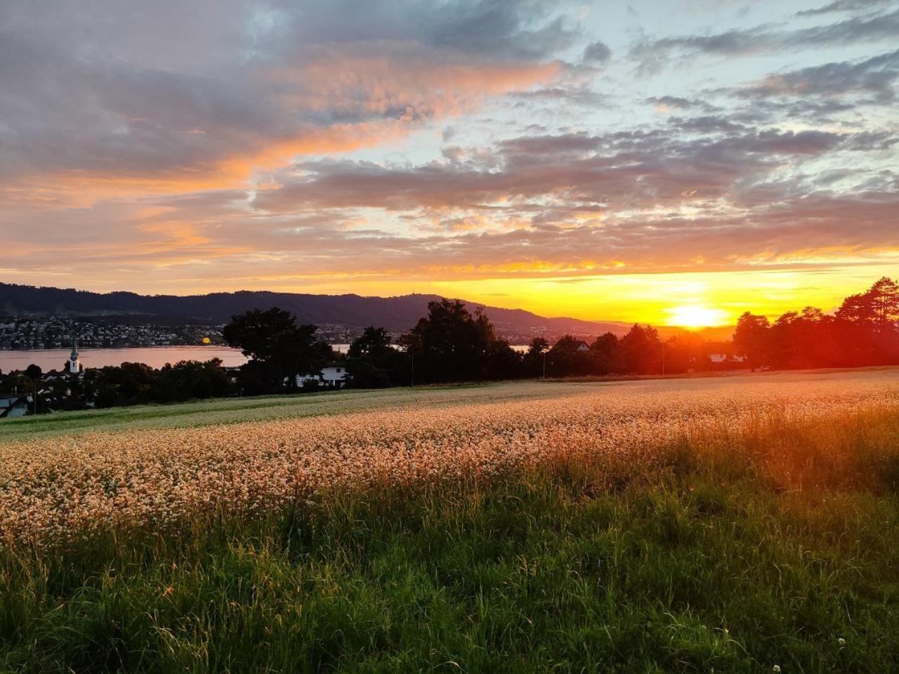 In On Golden Kuste Apartment